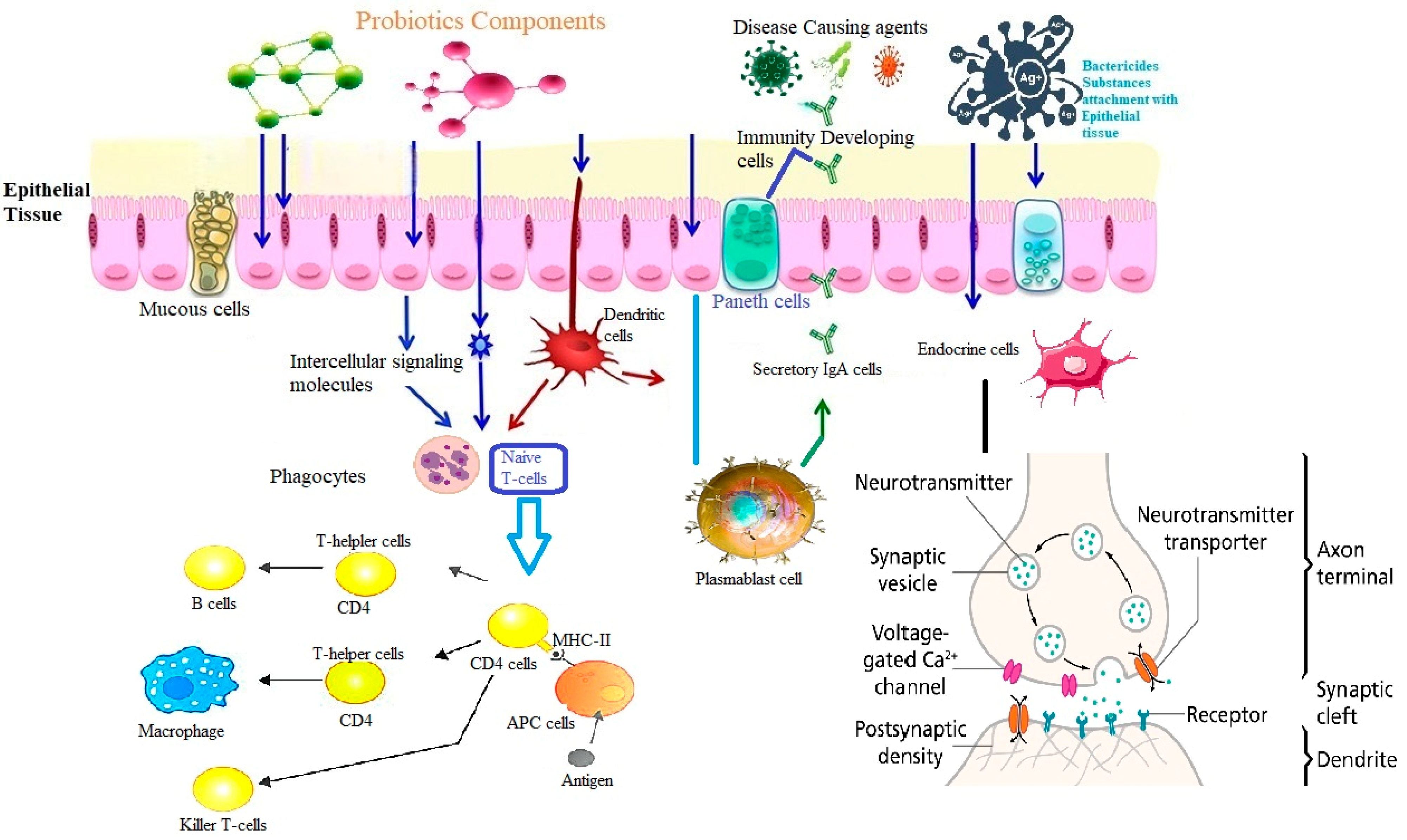 Microorganisms 12 00194 g006