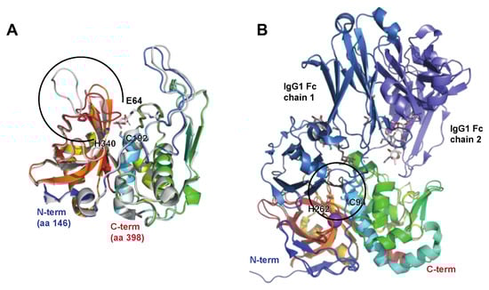 Microorganisms 12 00200 g002