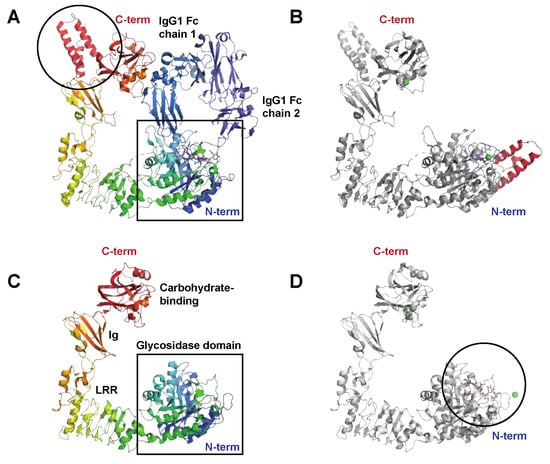 Microorganisms 12 00200 g003