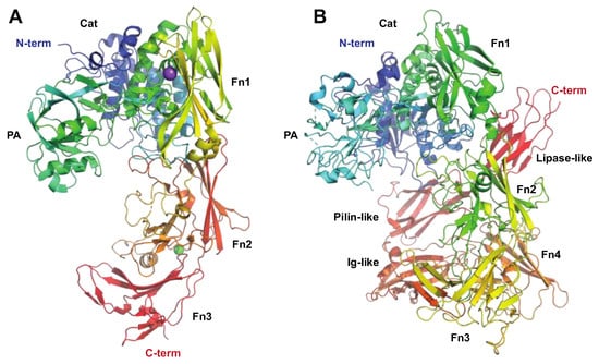 Microorganisms 12 00200 g004