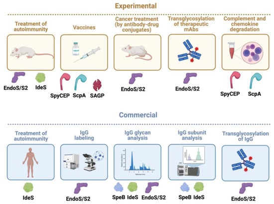 Microorganisms 12 00200 g008