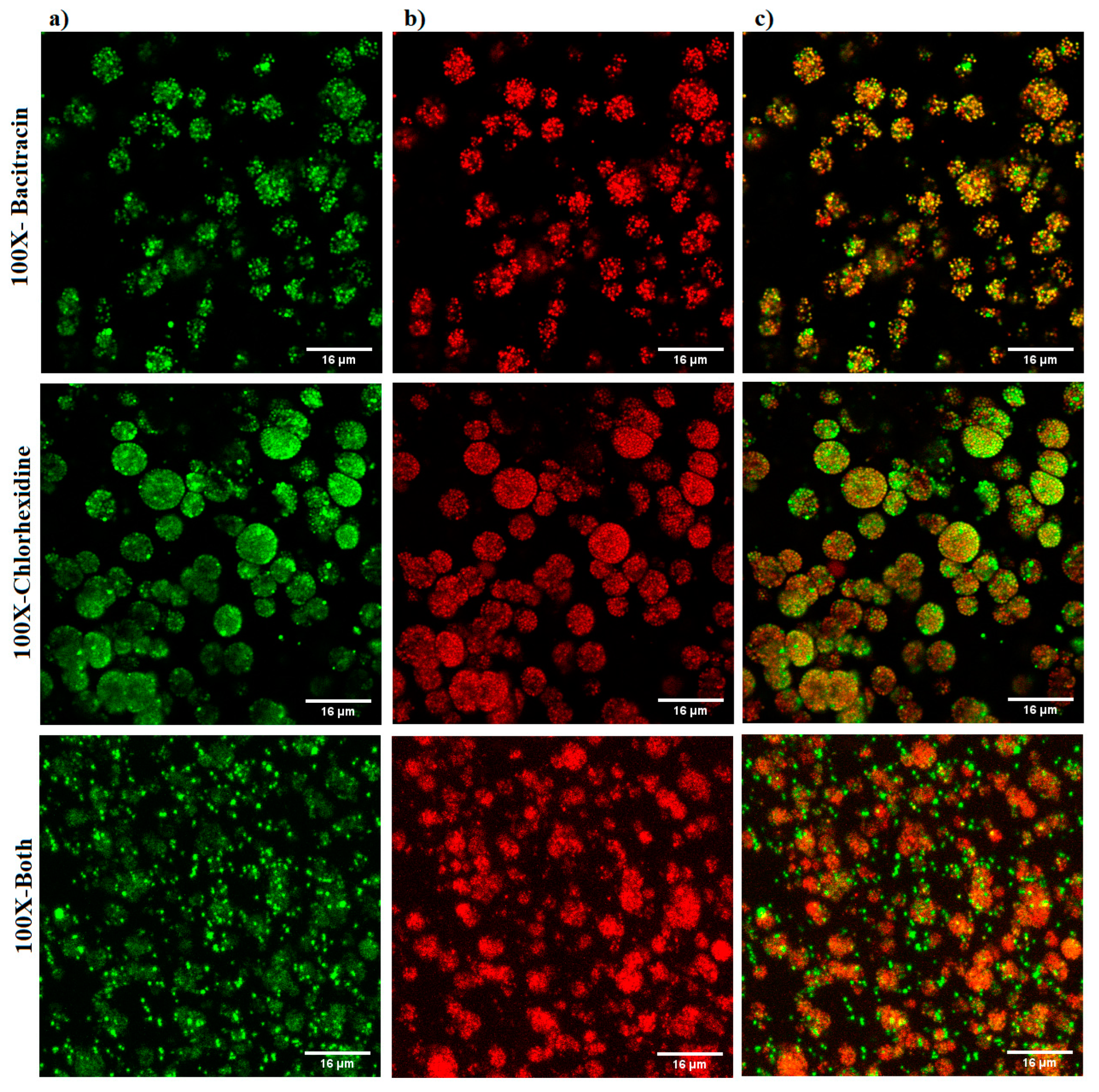 Microorganisms 12 00203 g006