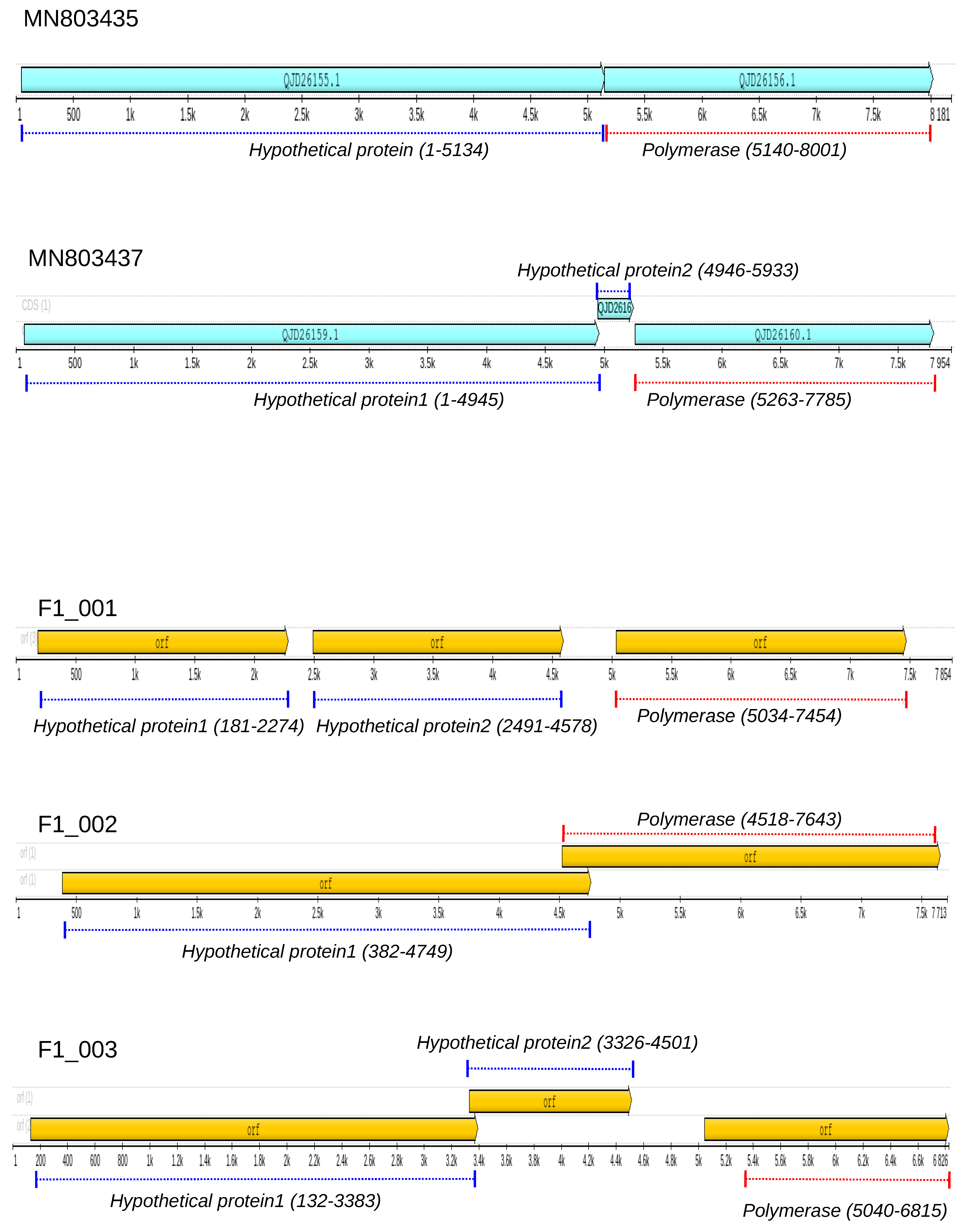 Microorganisms 12 00206 g001