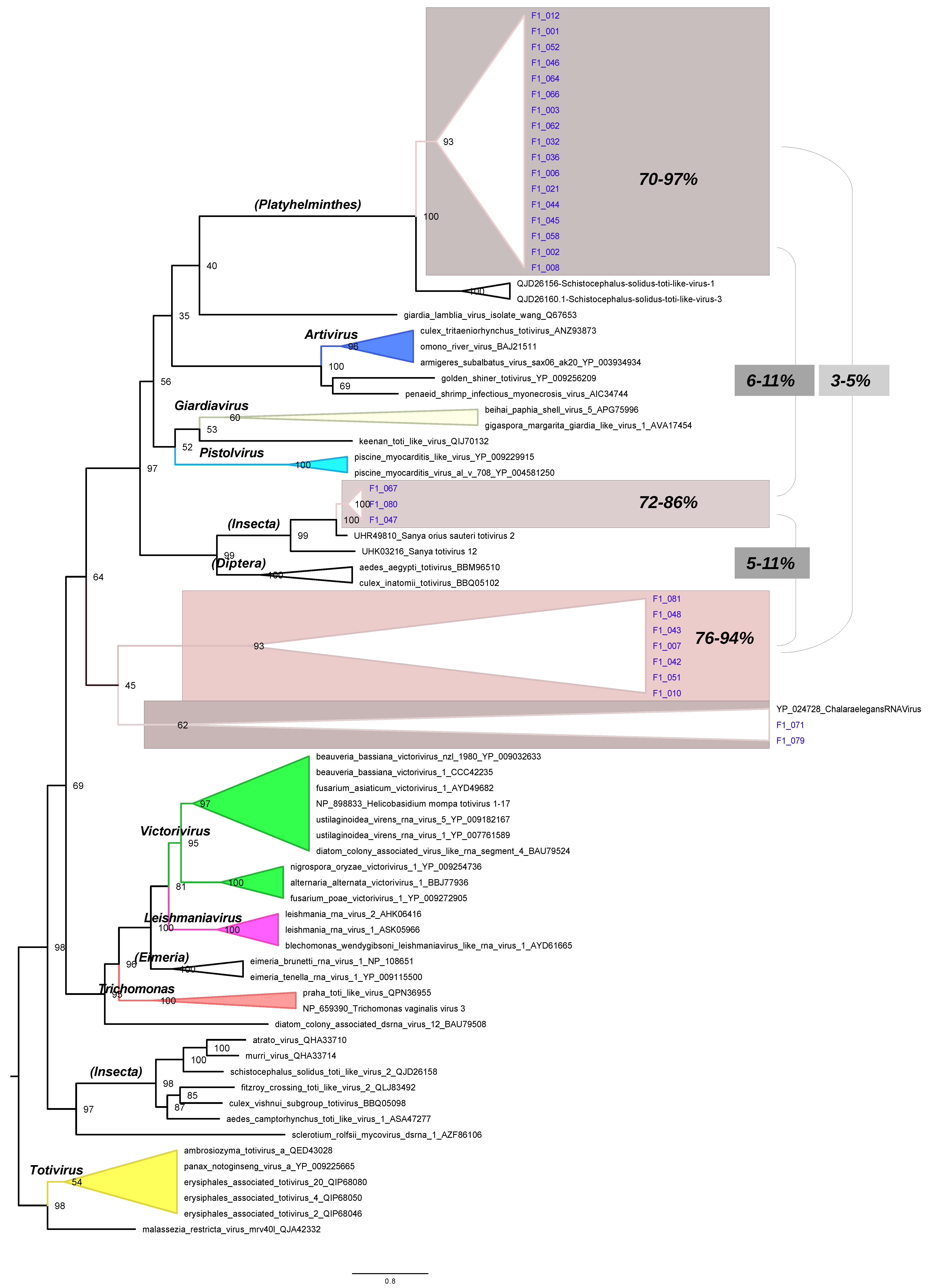 Microorganisms 12 00206 g003