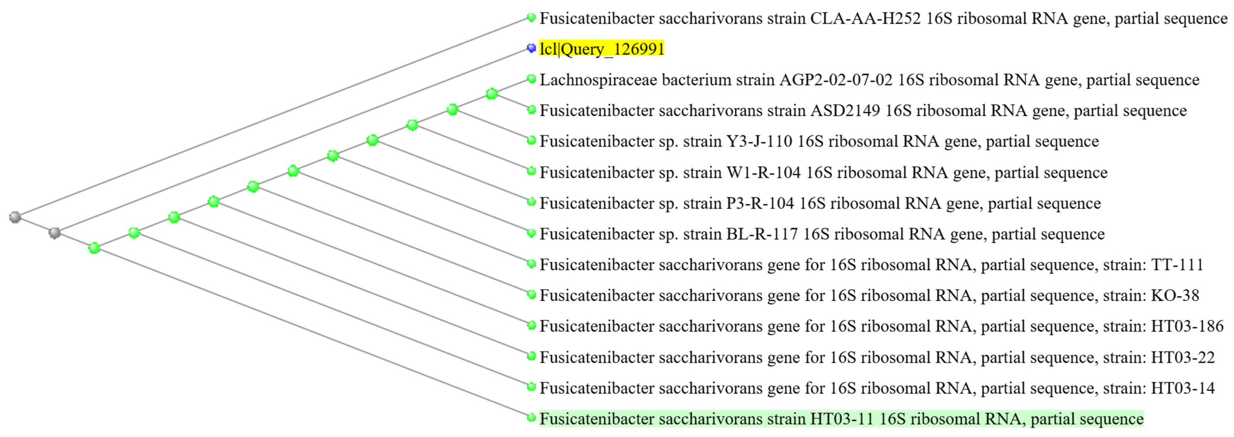 Microorganisms 12 00208 g006