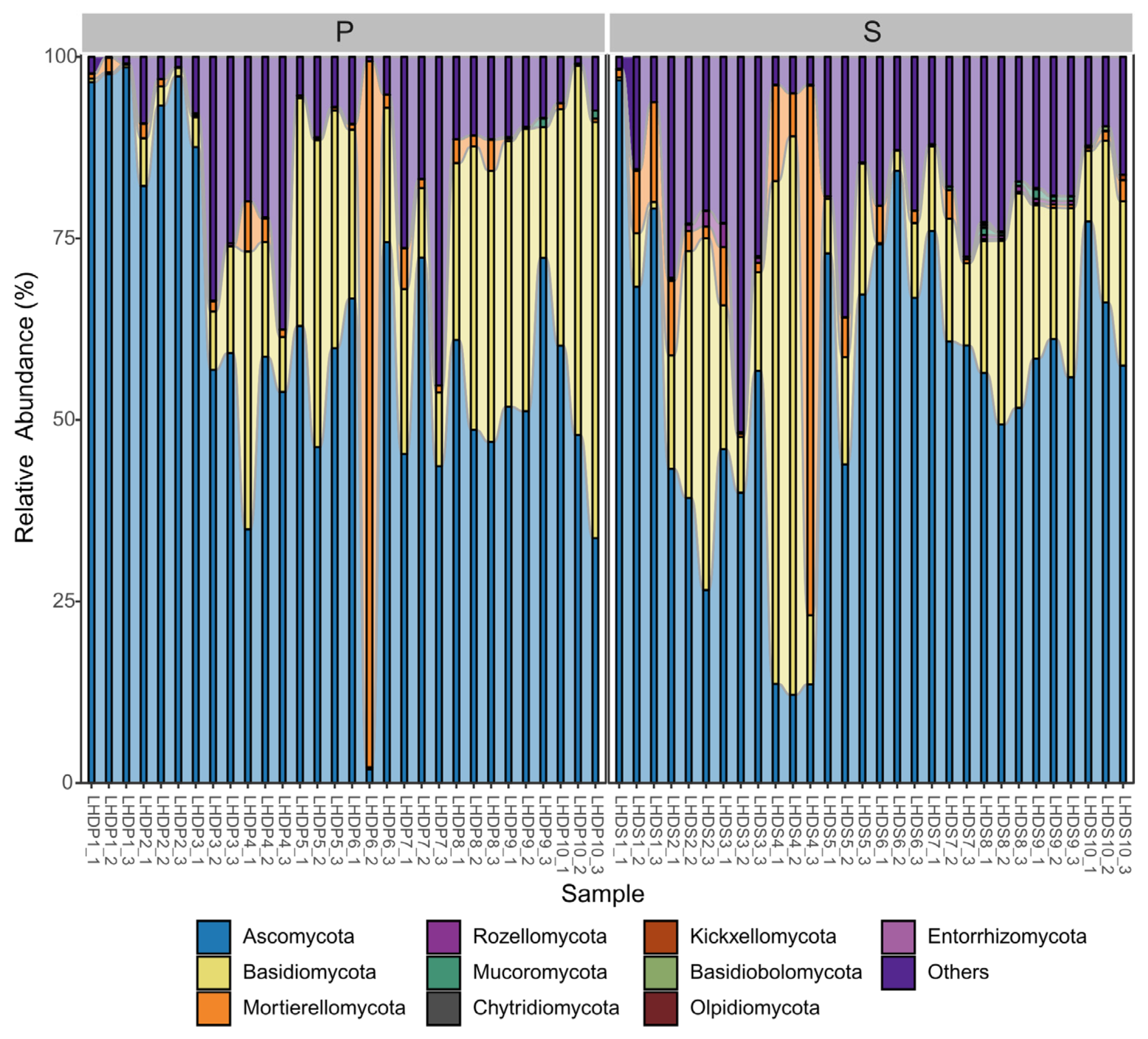 Microorganisms 12 00211 g002