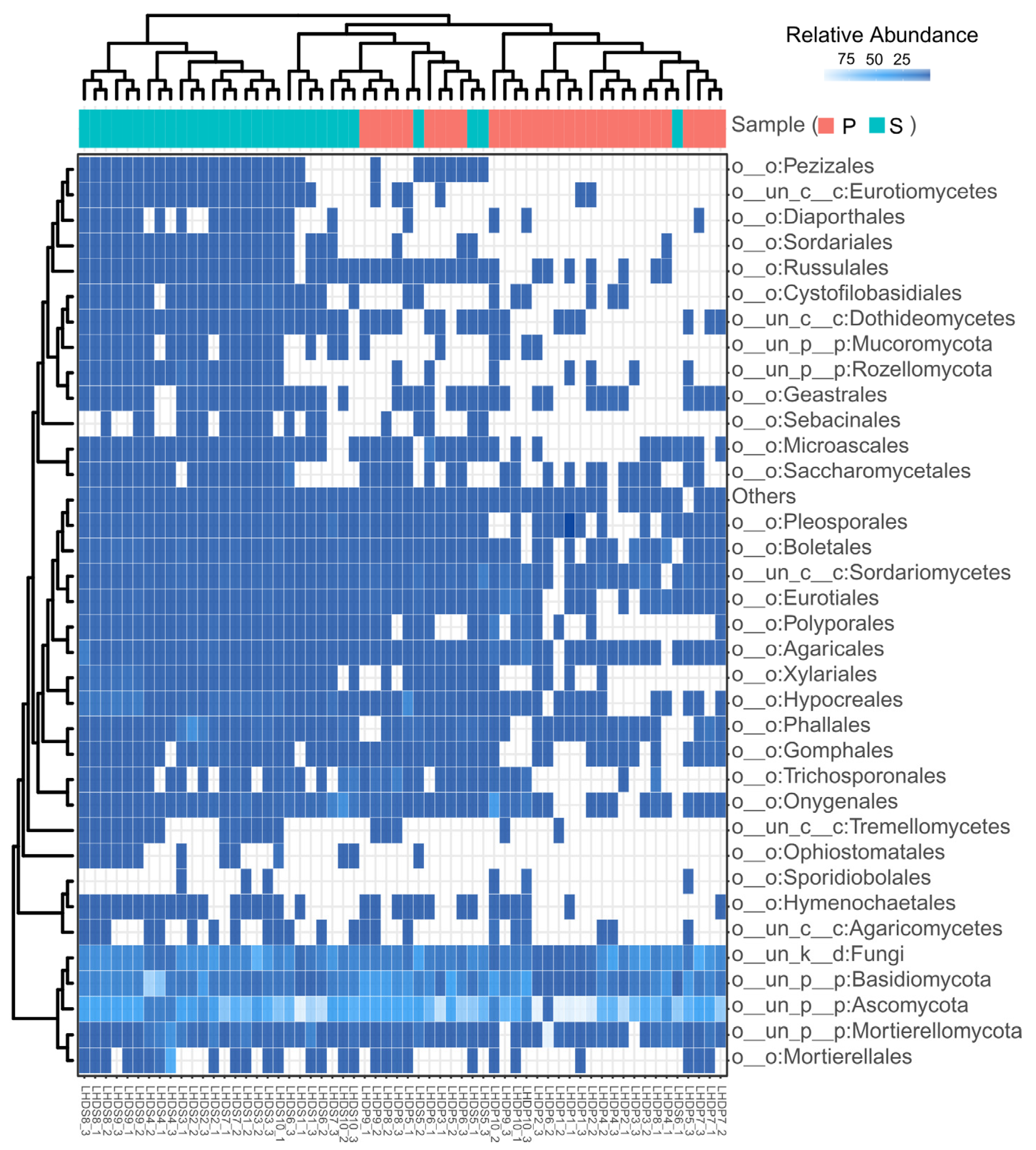 Microorganisms 12 00211 g003