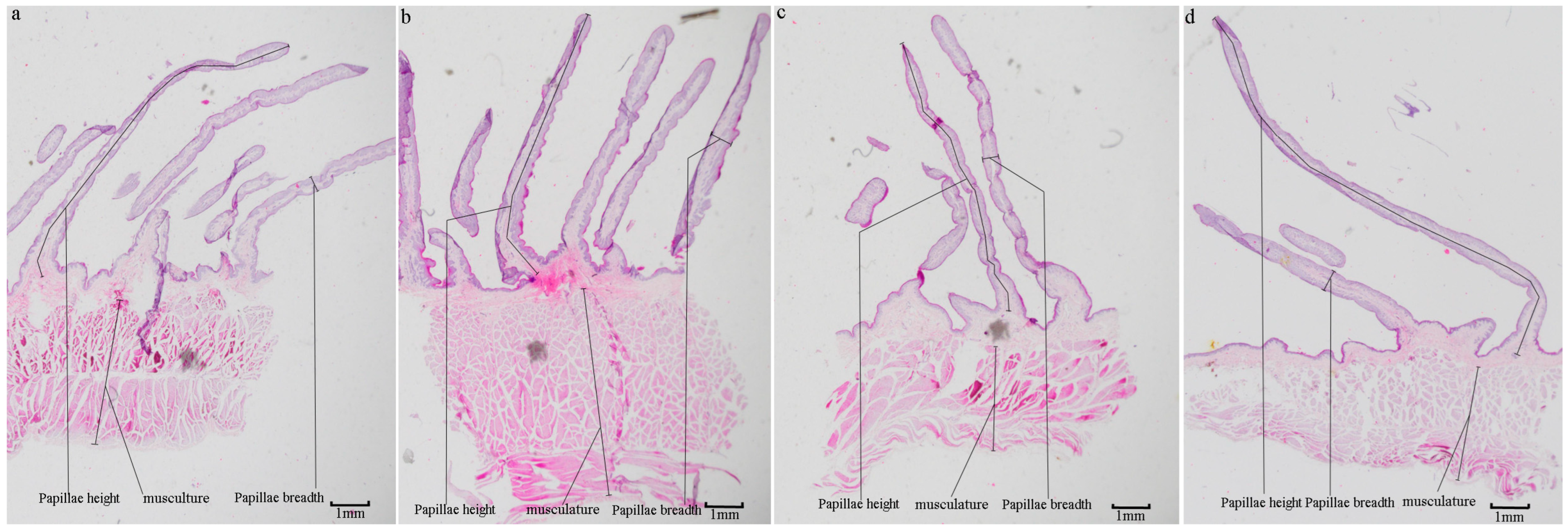 Microorganisms 12 00216 g001