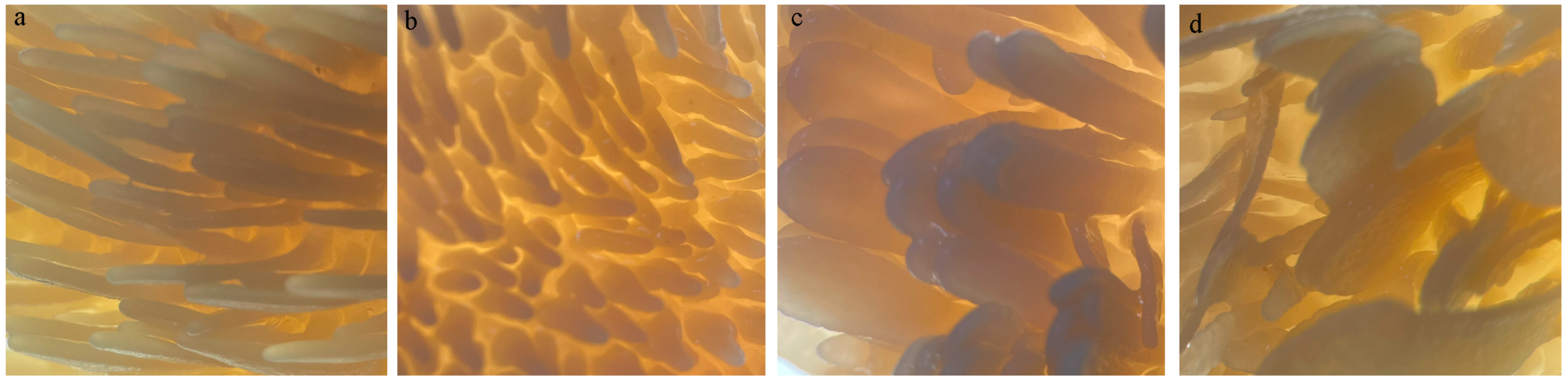 Microorganisms 12 00216 g002