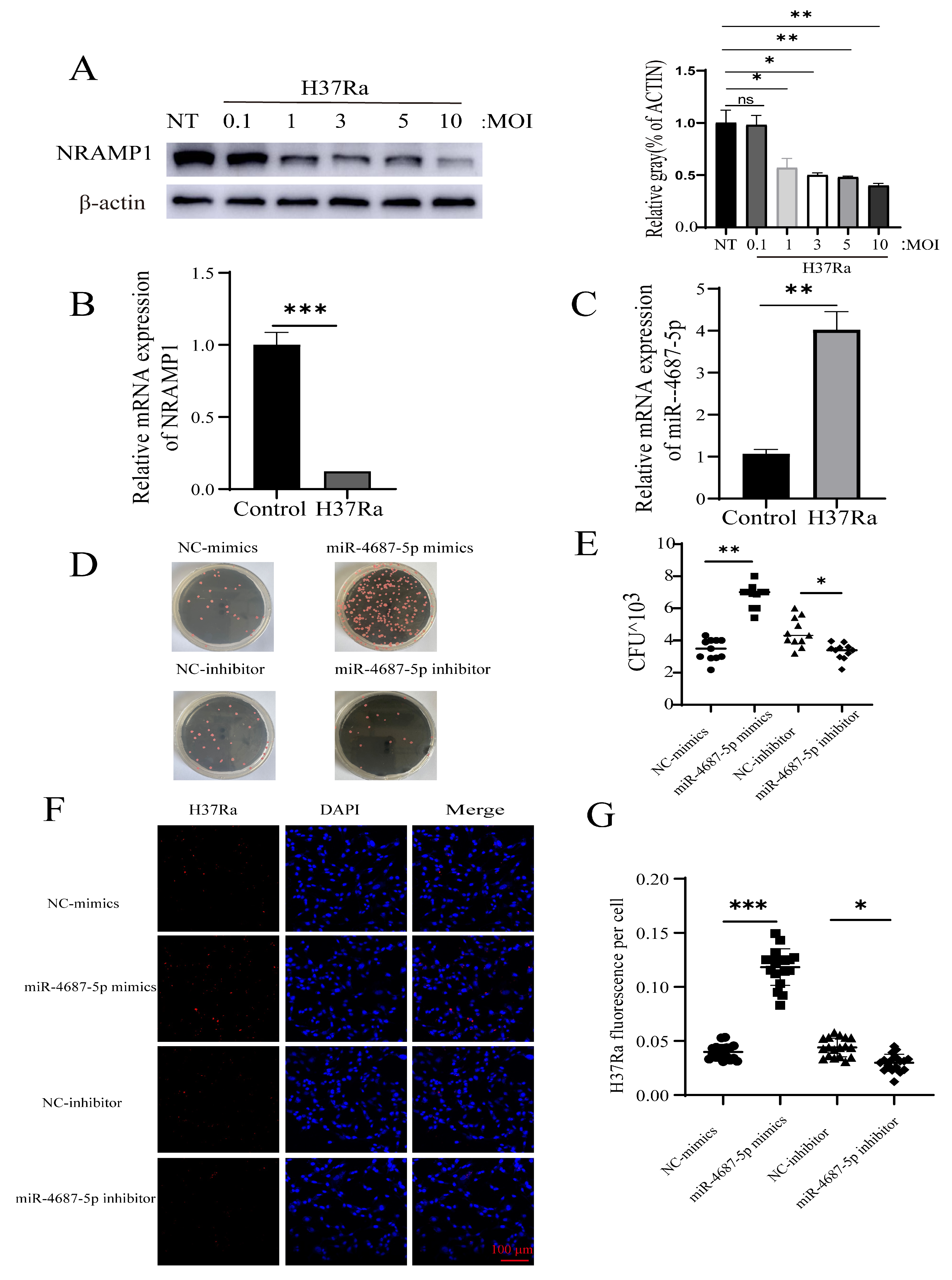 Microorganisms 12 00227 g003