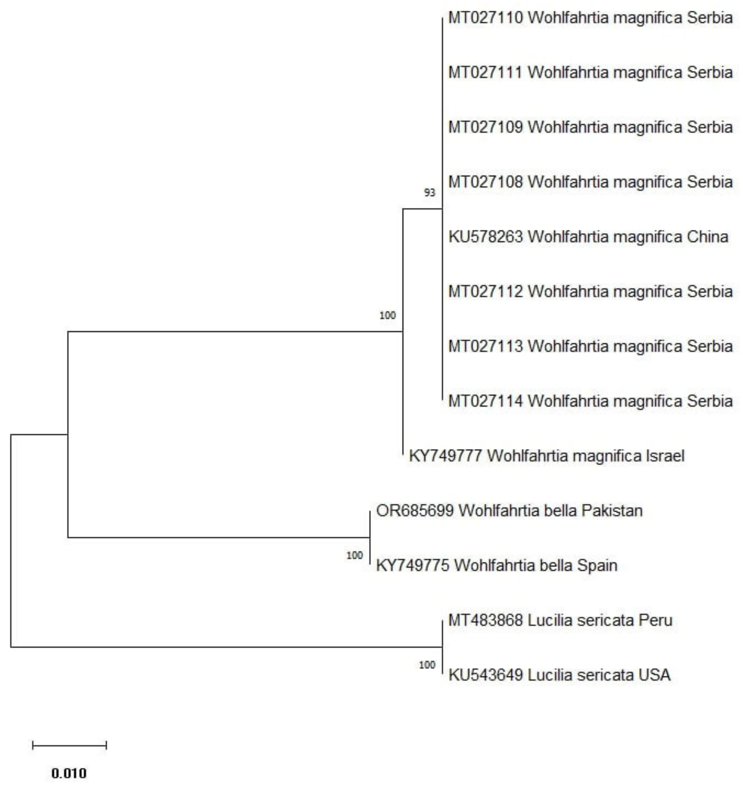 Microorganisms 12 00233 g003