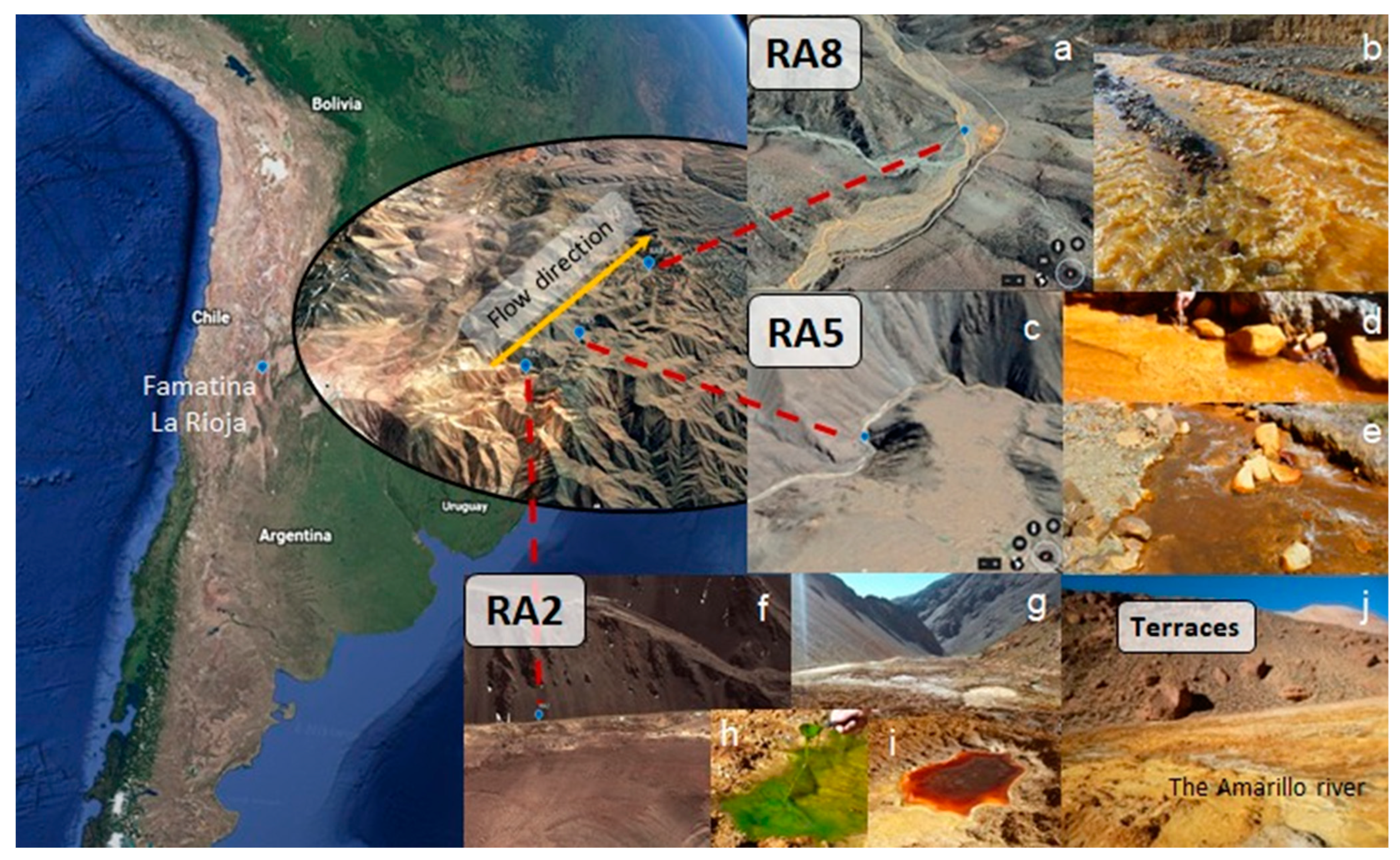 Microorganisms 12 00235 g001