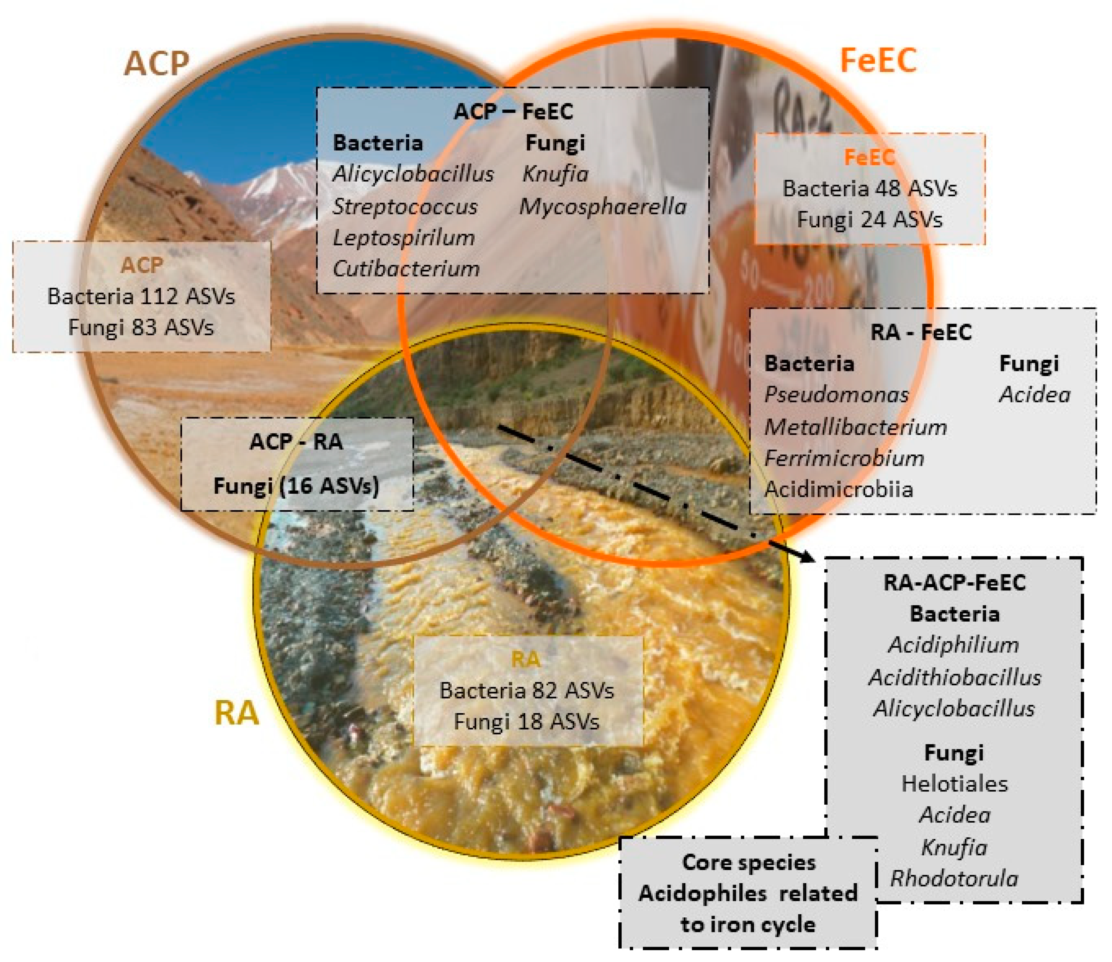 Microorganisms 12 00235 g008