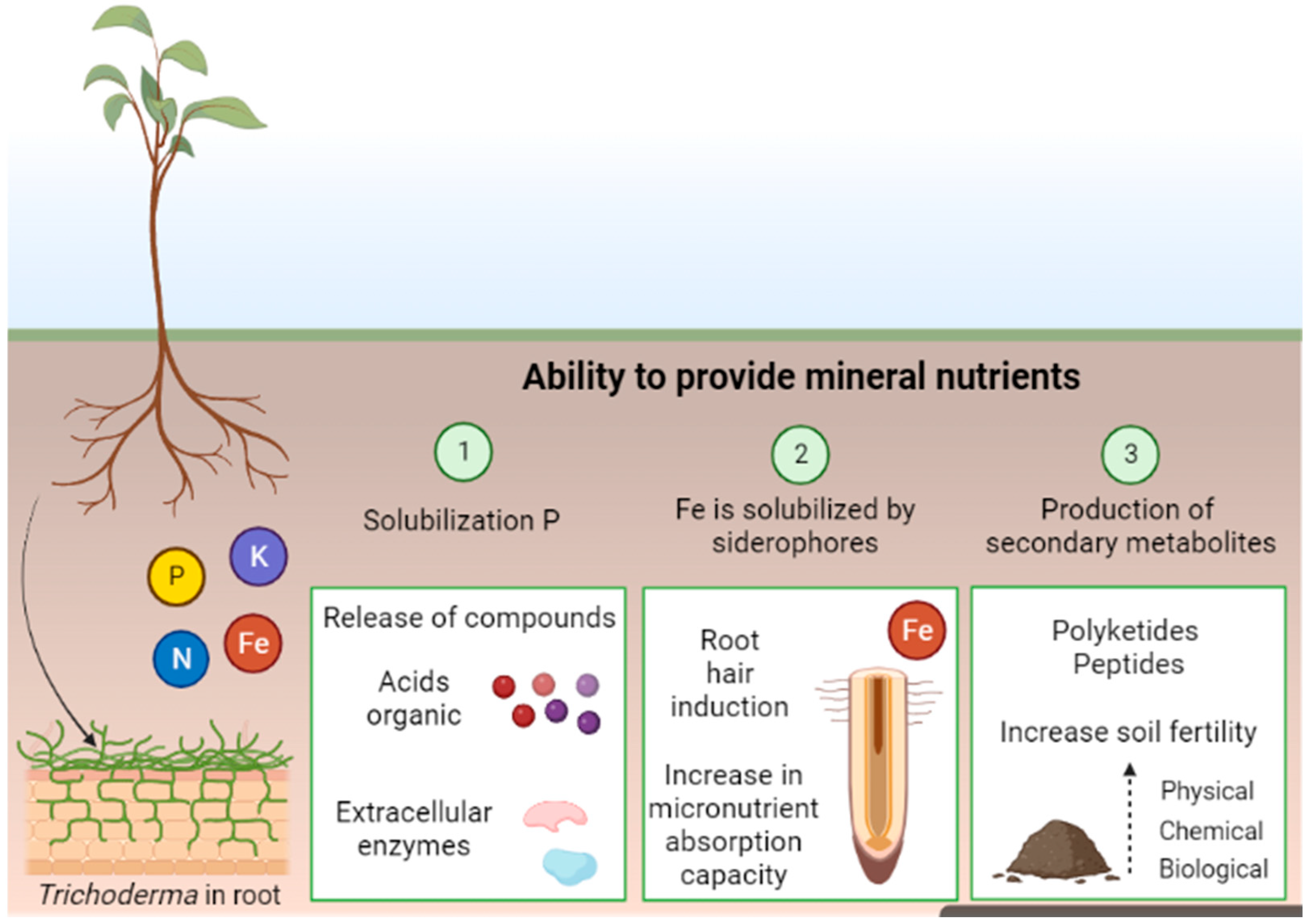 Microorganisms 12 00237 g002