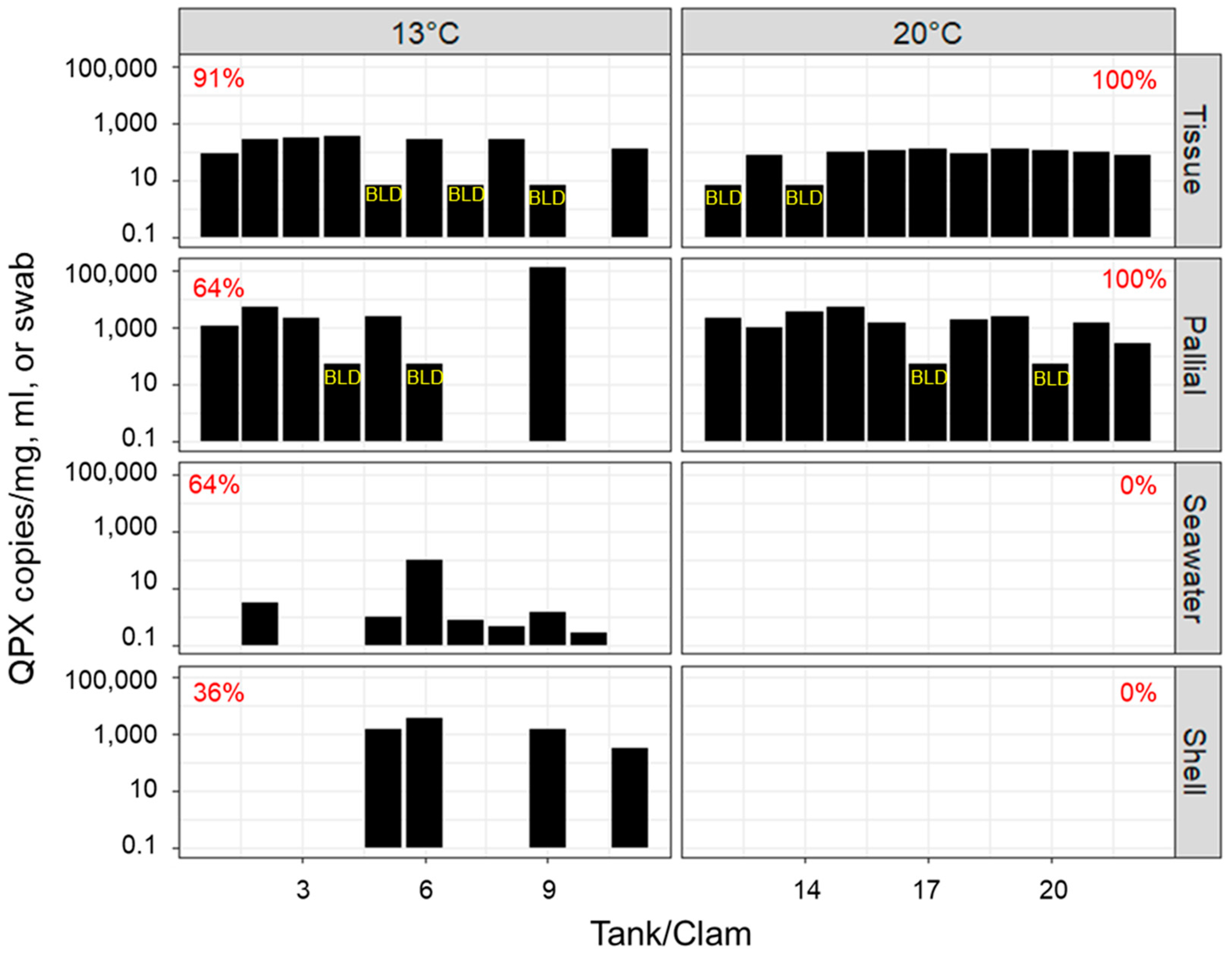 Microorganisms 12 00241 g004