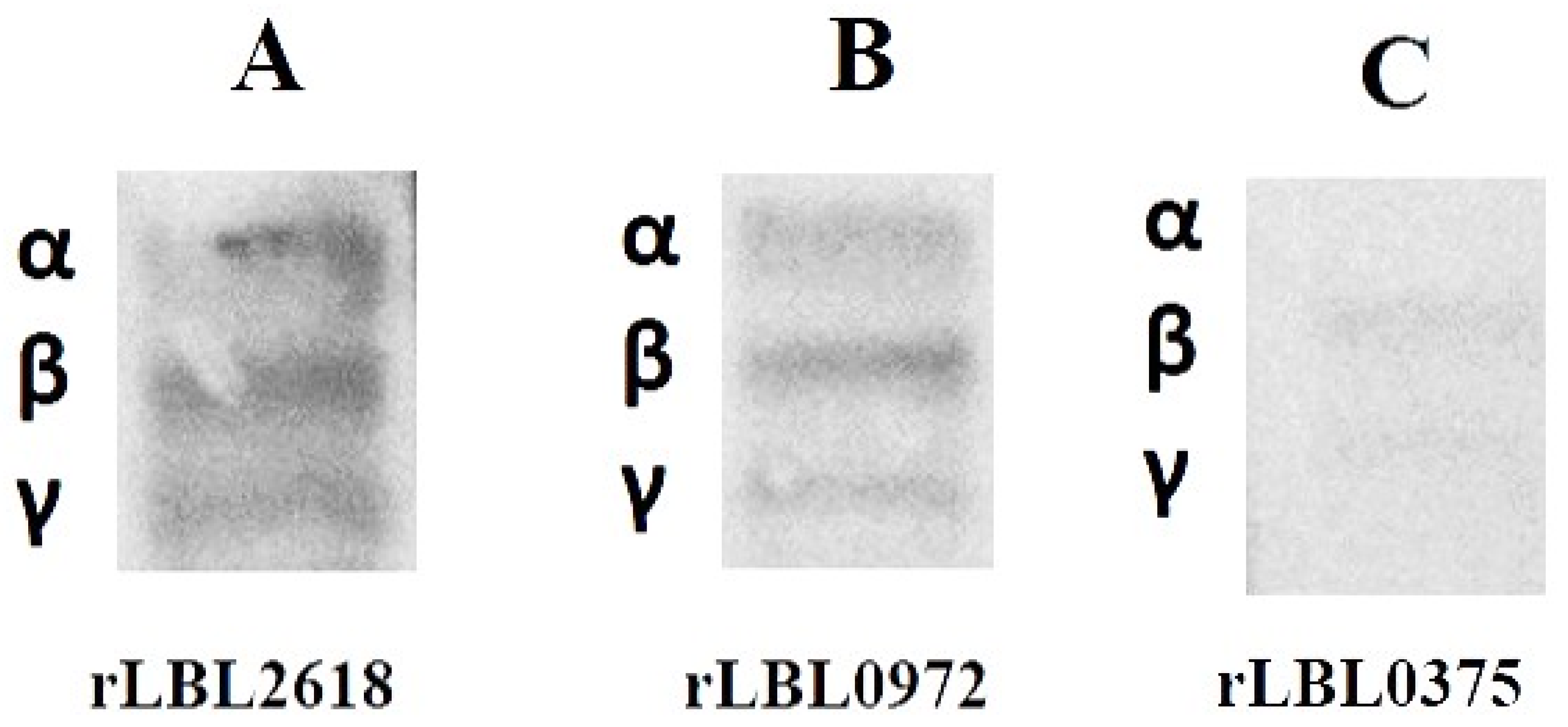 Microorganisms 12 00245 g006