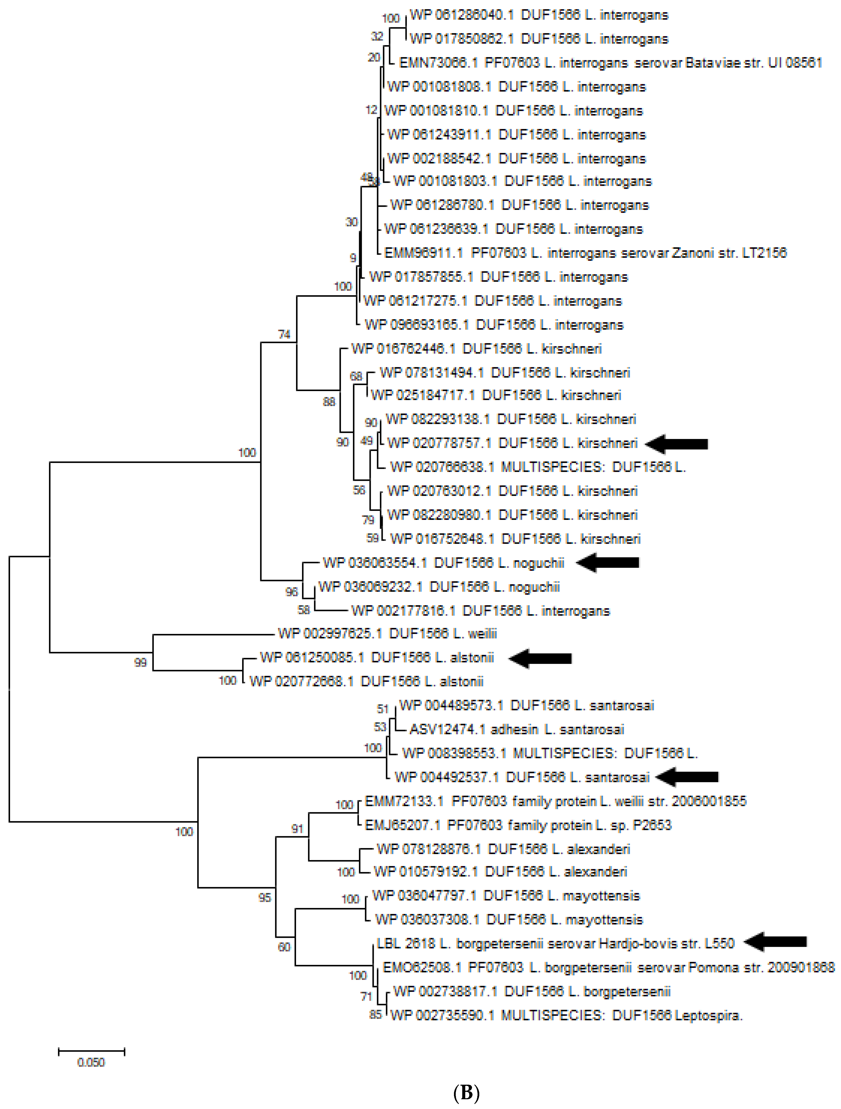 Microorganisms 12 00245 g008b