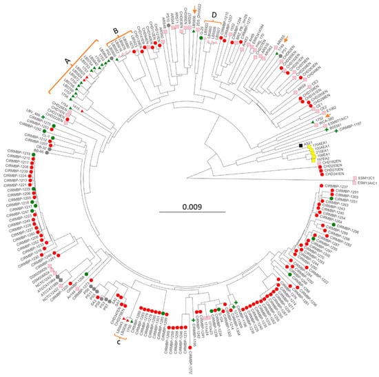 Microorganisms 12 00250 g001