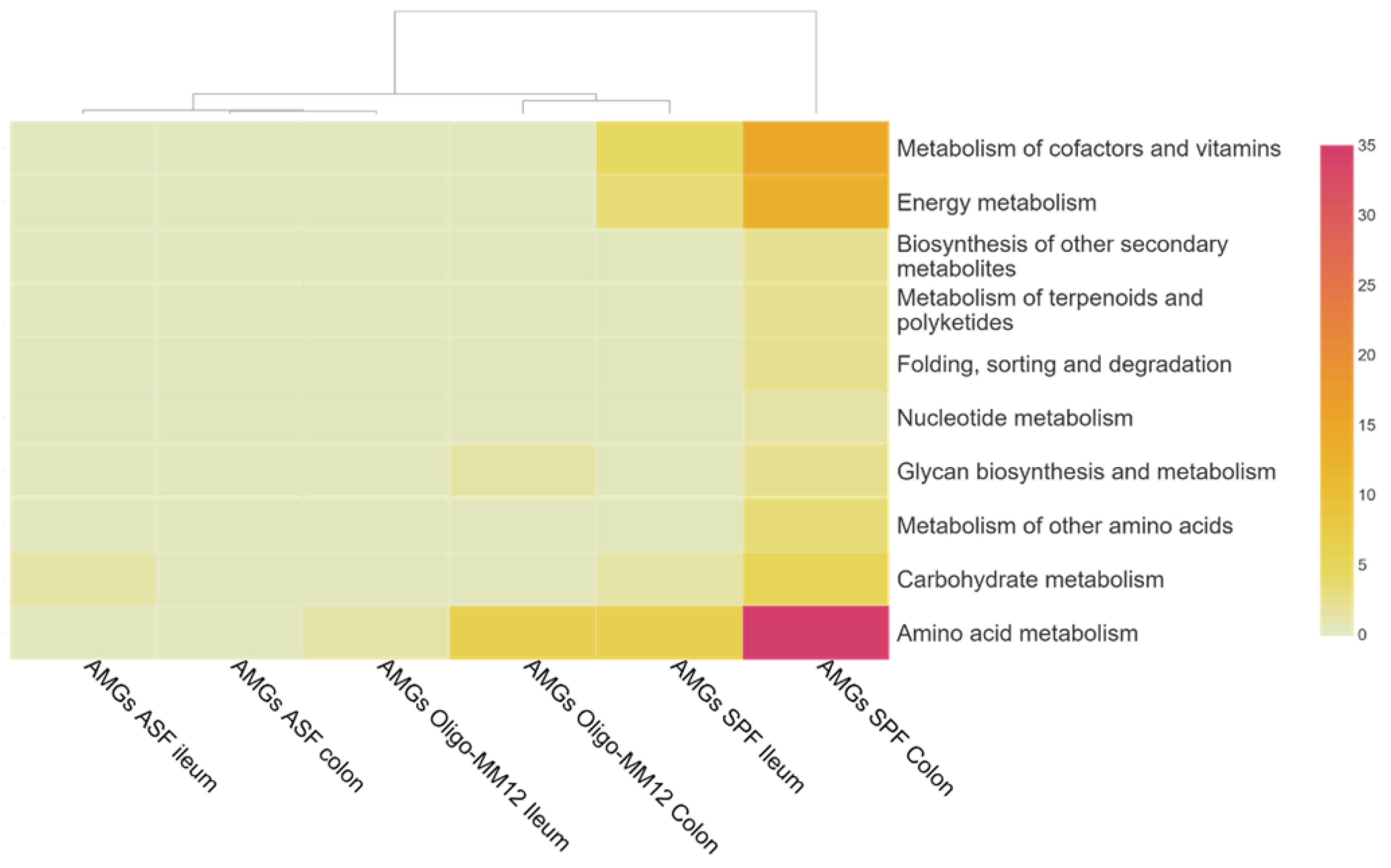 Microorganisms 12 00255 g004