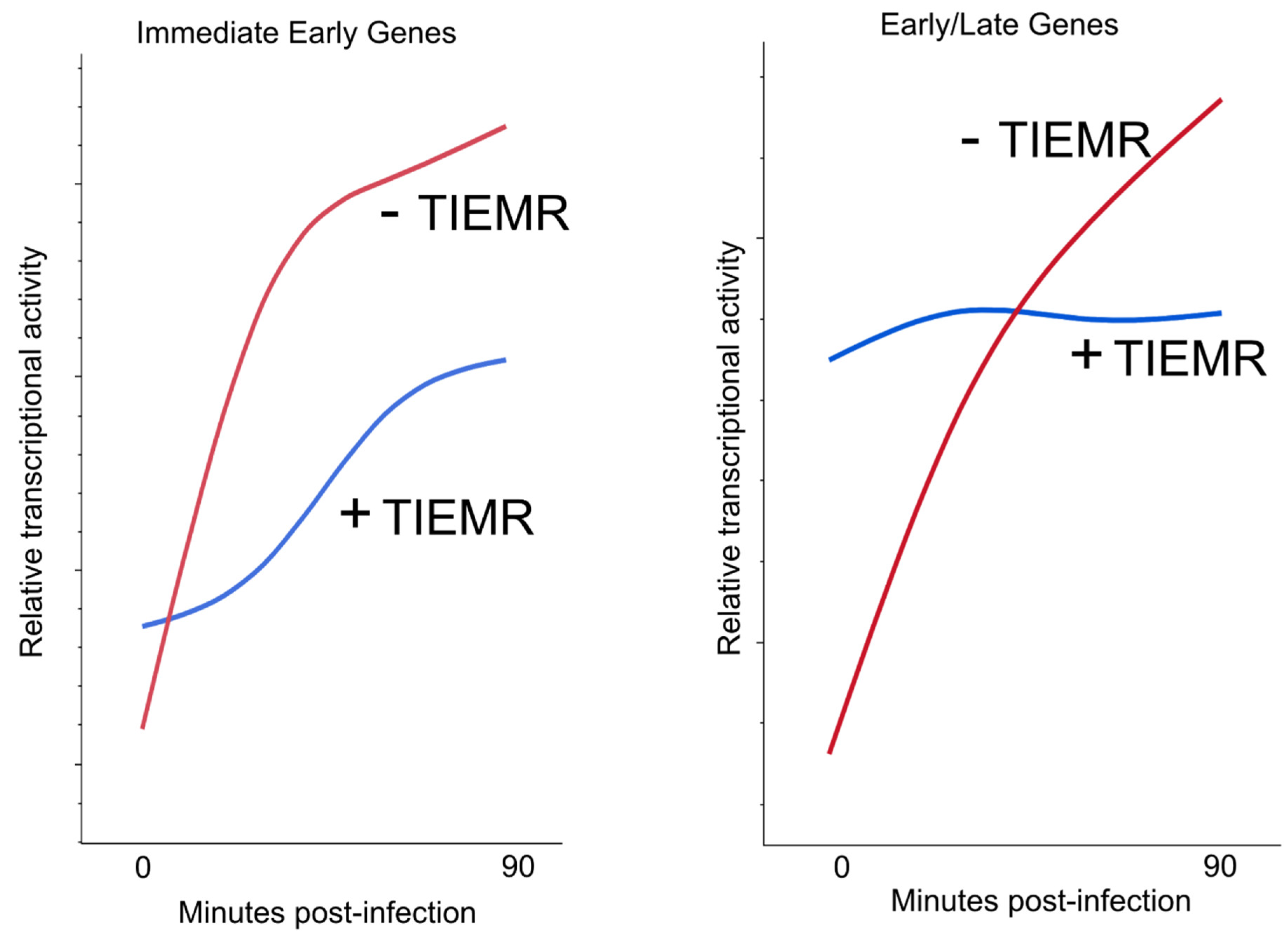 Microorganisms 12 00262 g002