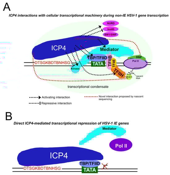 Microorganisms 12 00262 g003