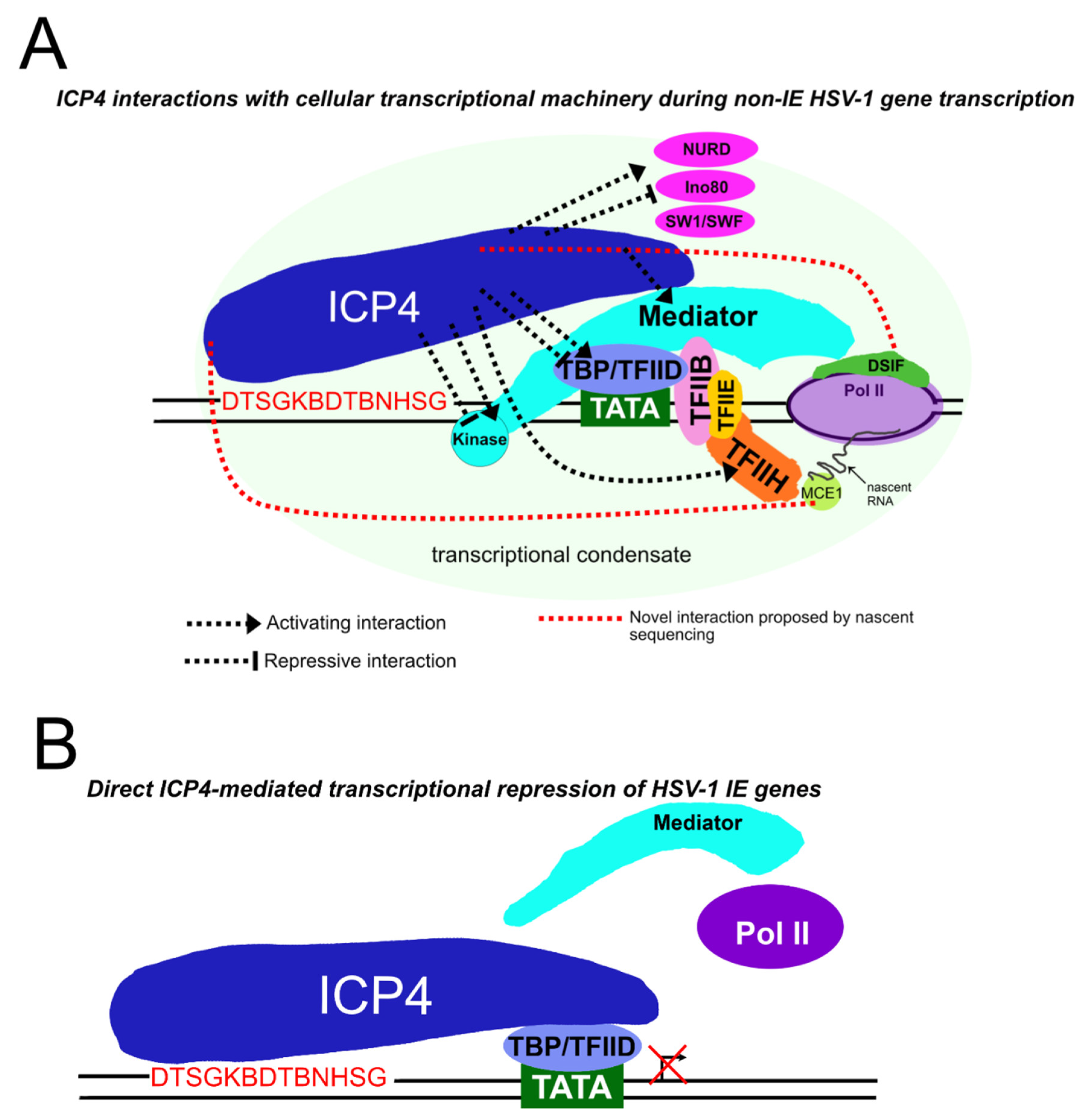 Microorganisms 12 00262 g003