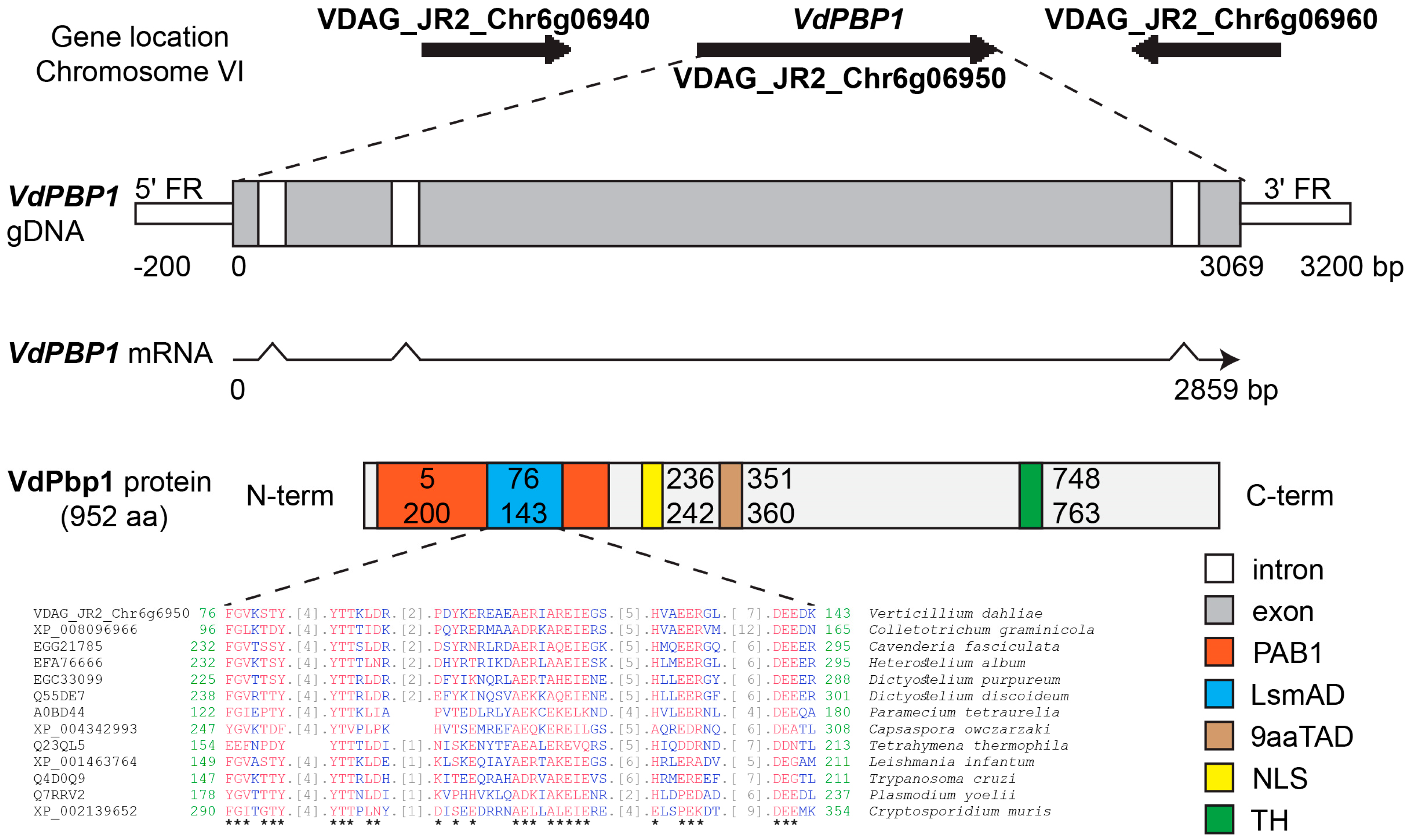 Microorganisms 12 00265 g001