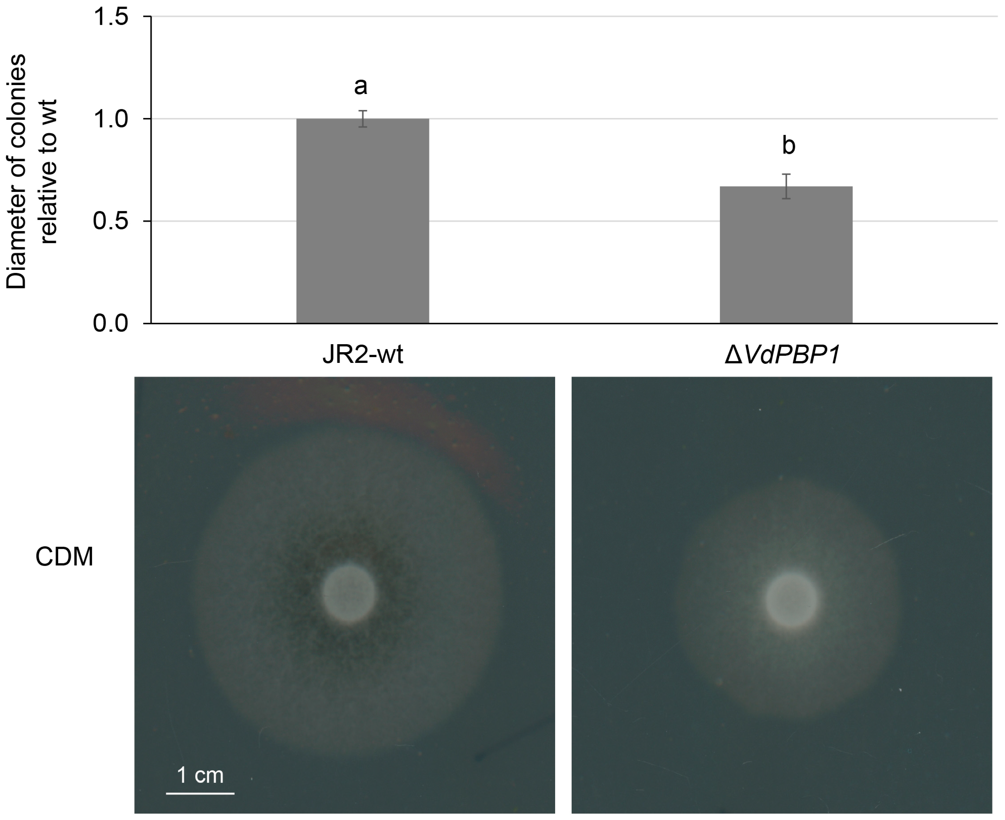 Microorganisms 12 00265 g005
