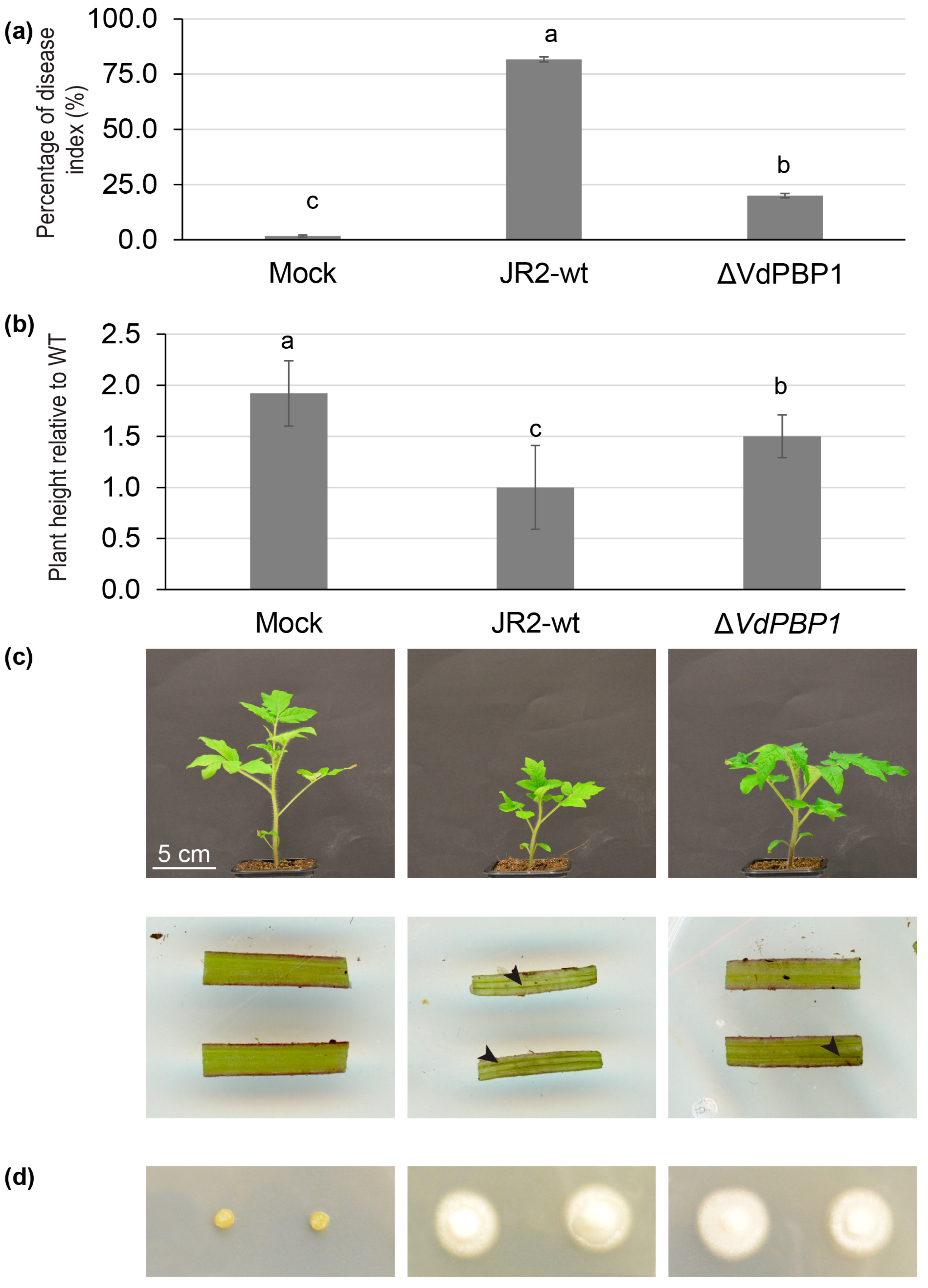 Microorganisms 12 00265 g006