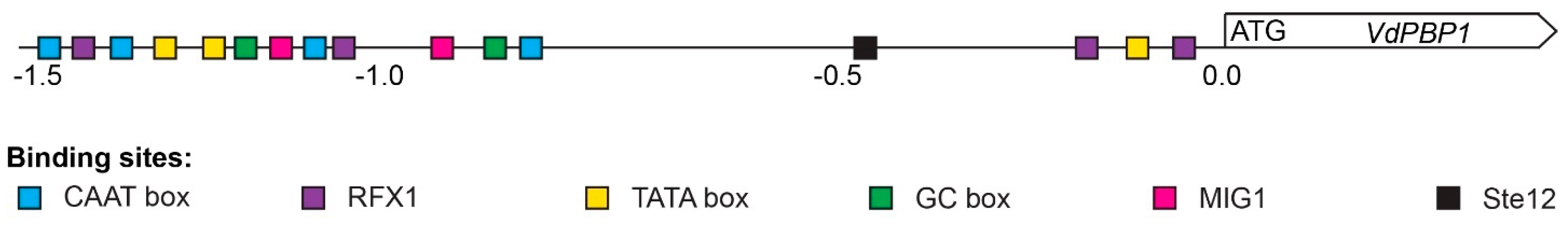 Microorganisms 12 00265 g008