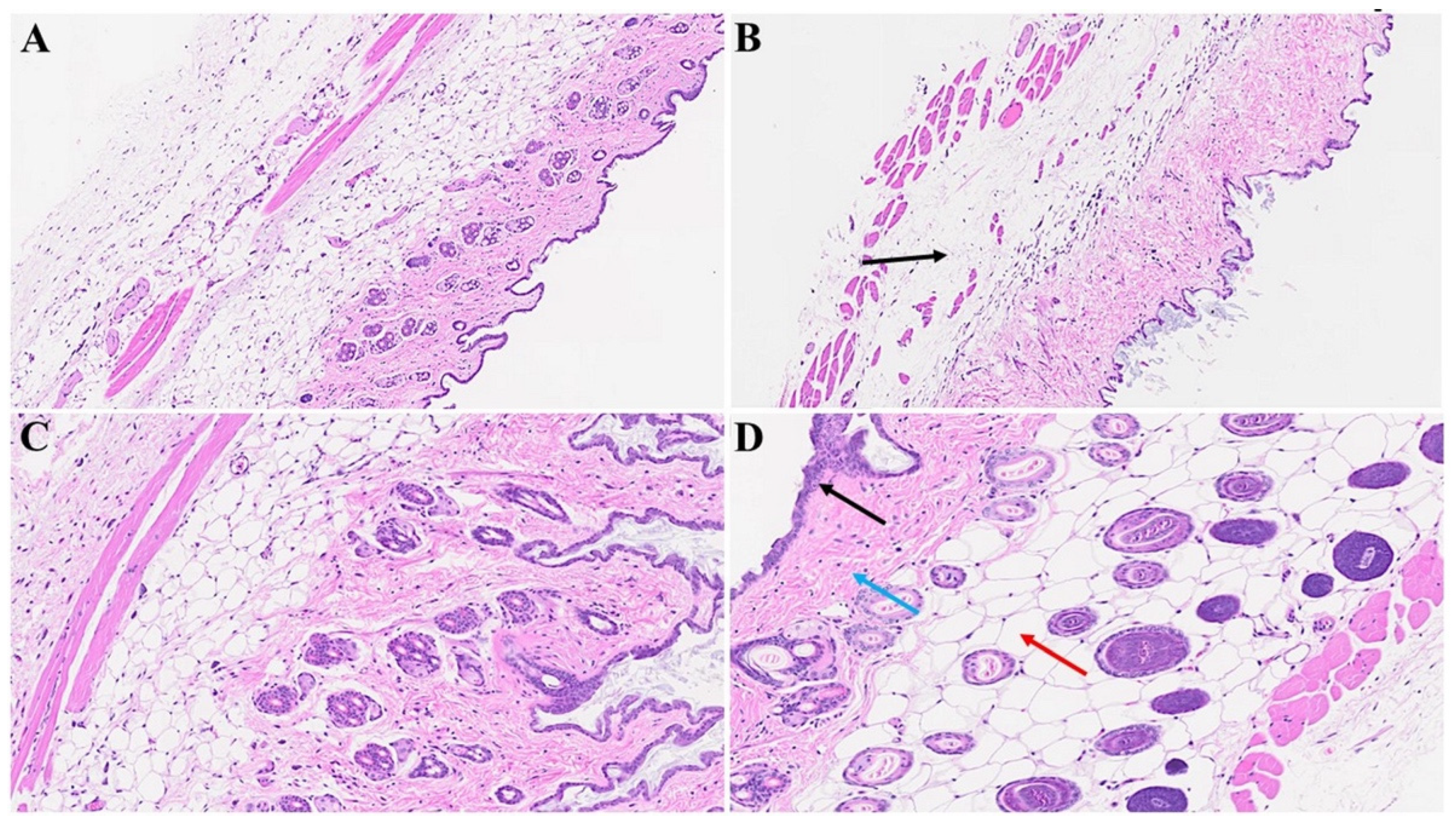 Microorganisms 12 00272 g003