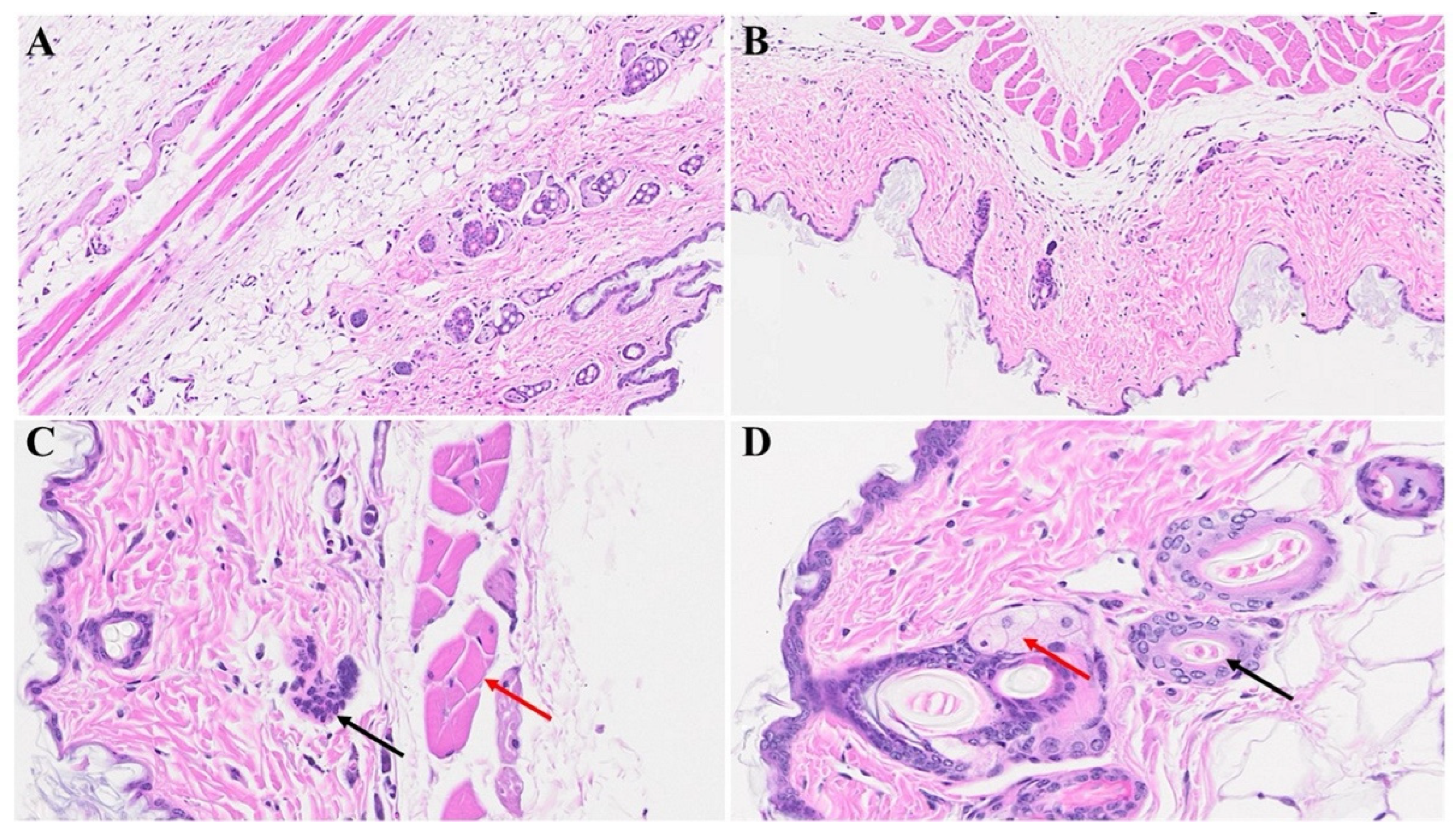 Microorganisms 12 00272 g004