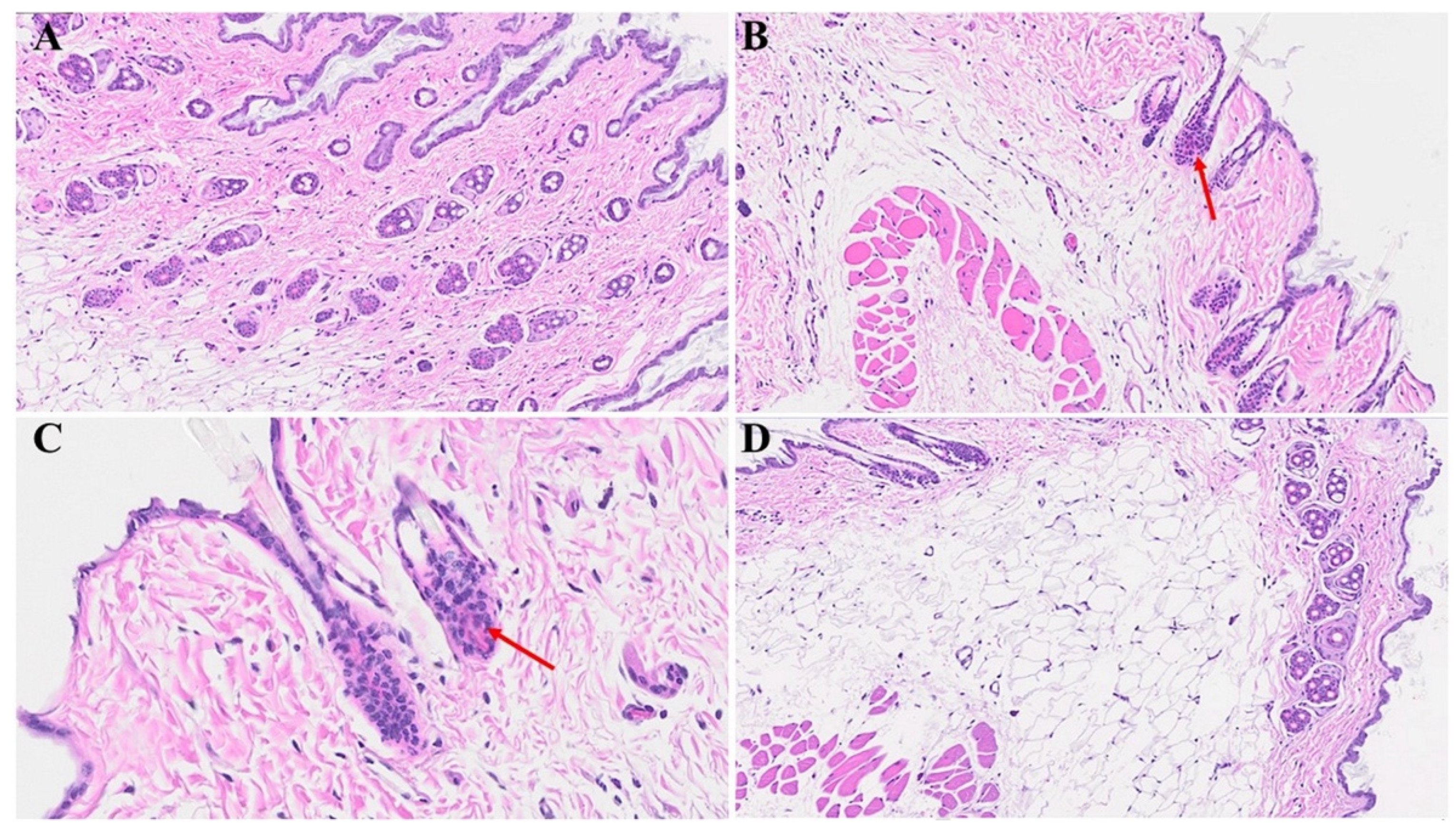 Microorganisms 12 00272 g005