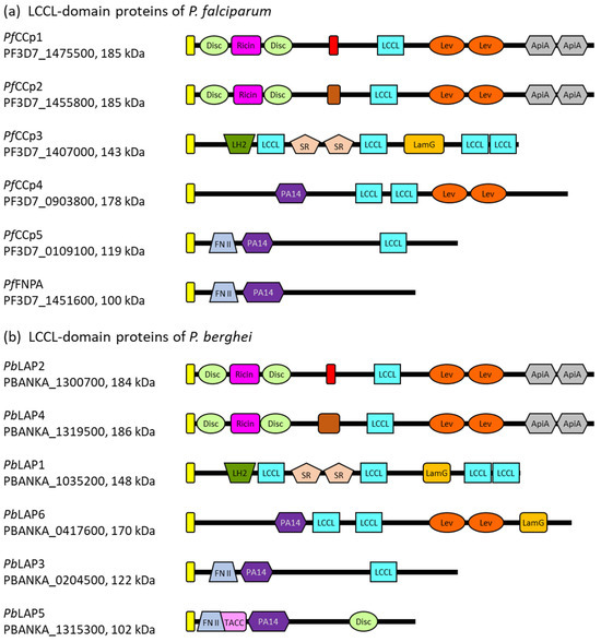 Microorganisms 12 00279 g001
