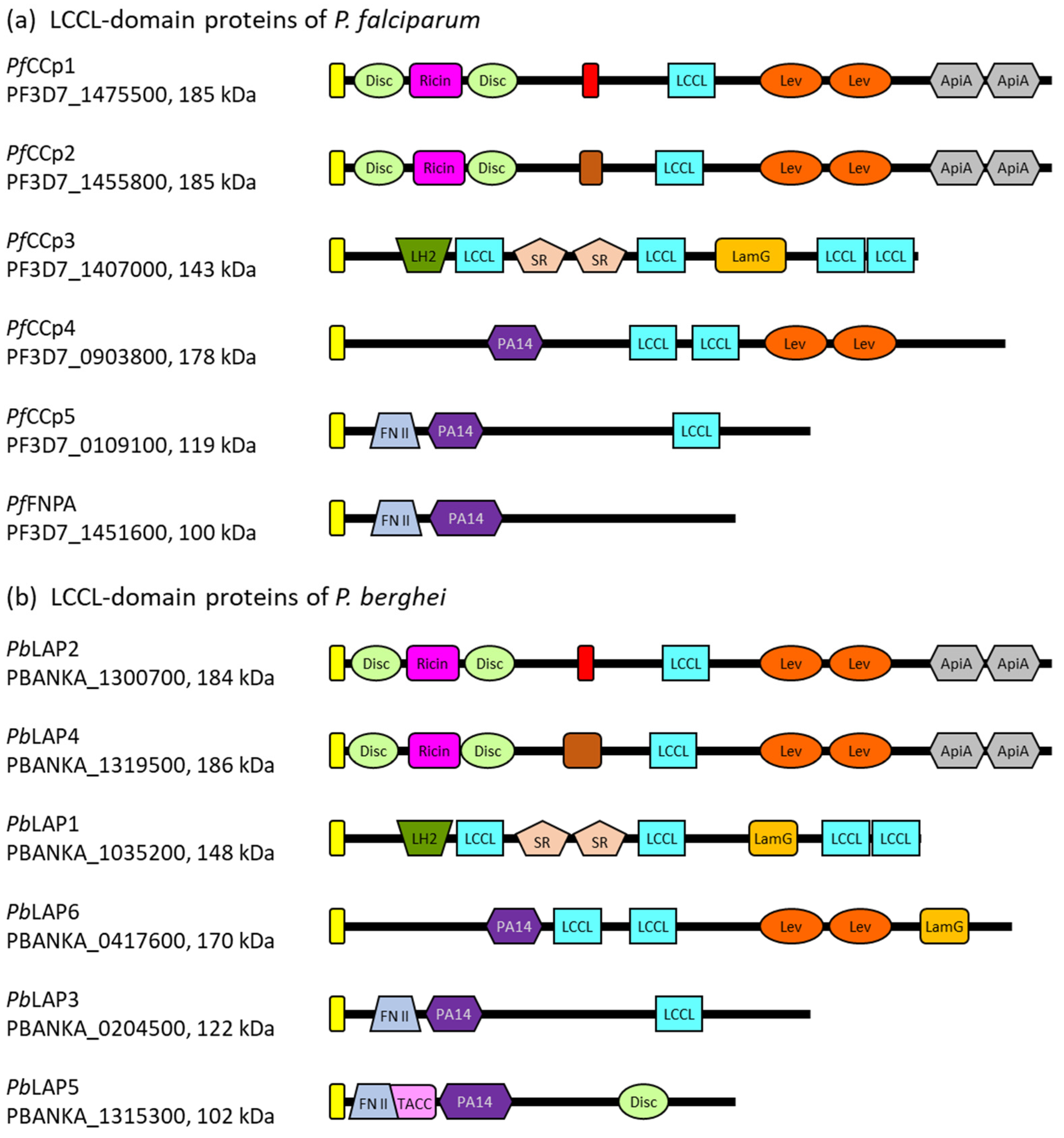 Microorganisms 12 00279 g001