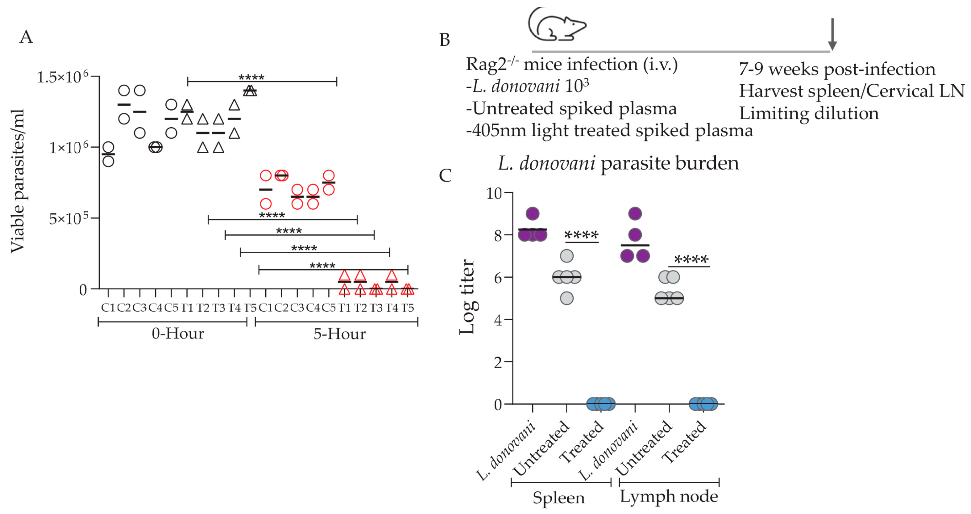 Microorganisms 12 00280 g003
