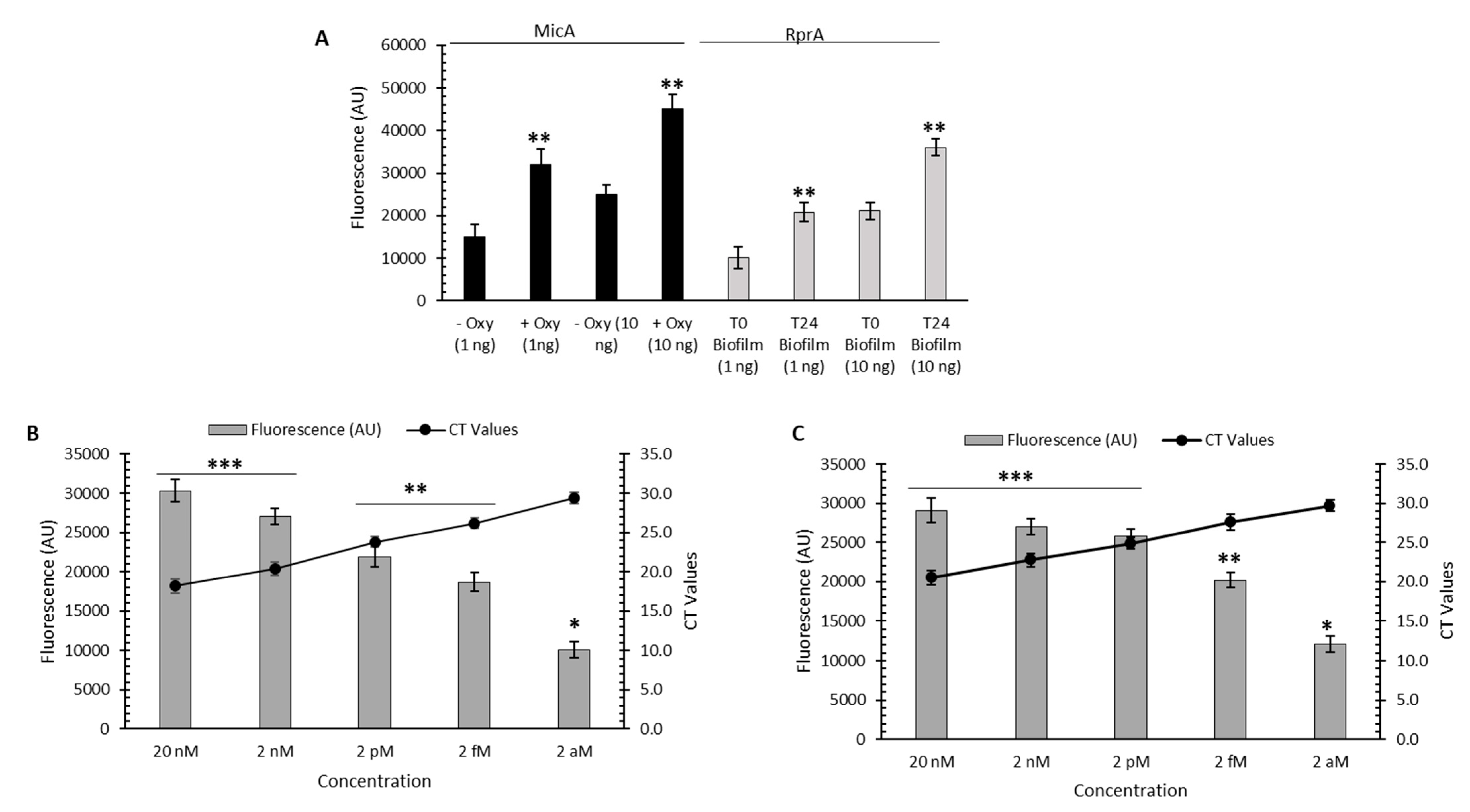 Microorganisms 12 00283 g003