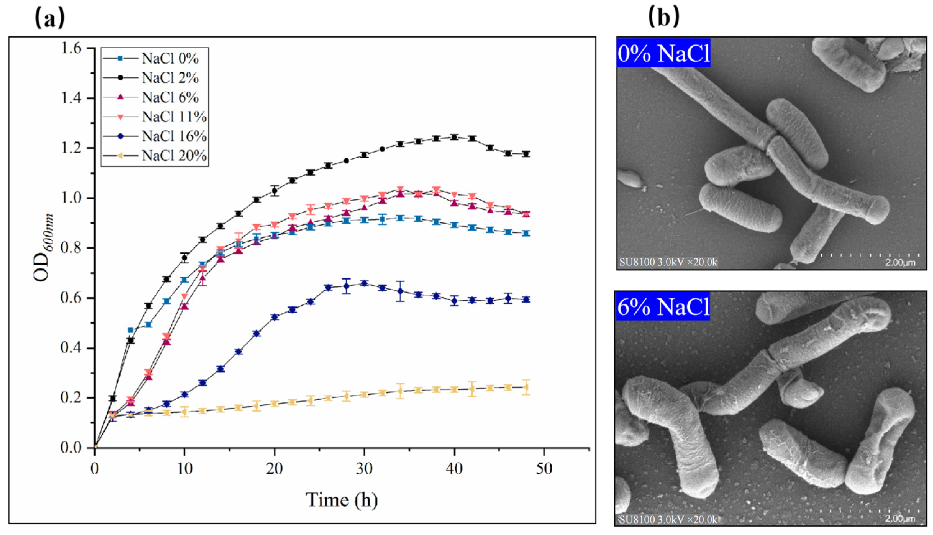 Microorganisms 12 00285 g001