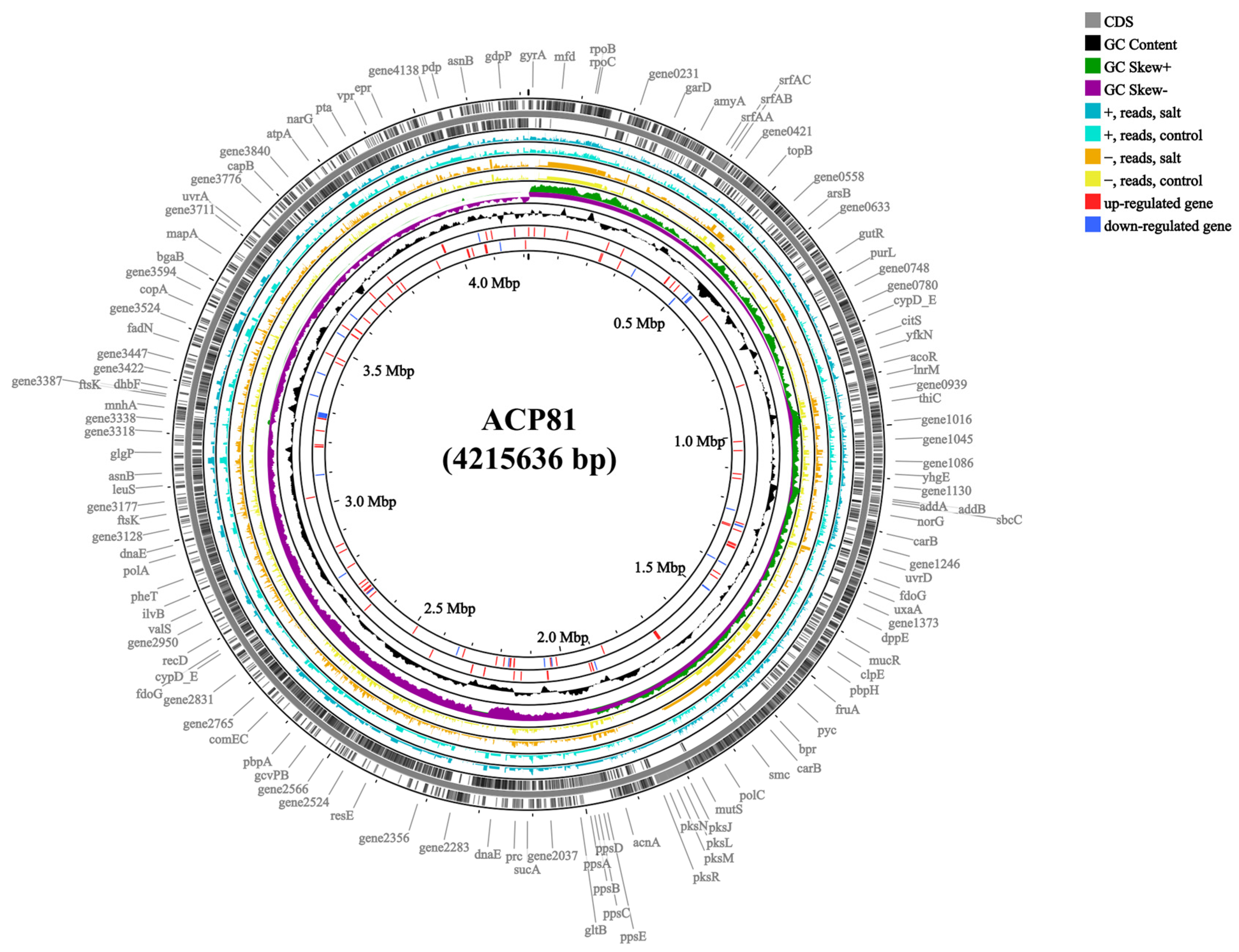 Microorganisms 12 00285 g002