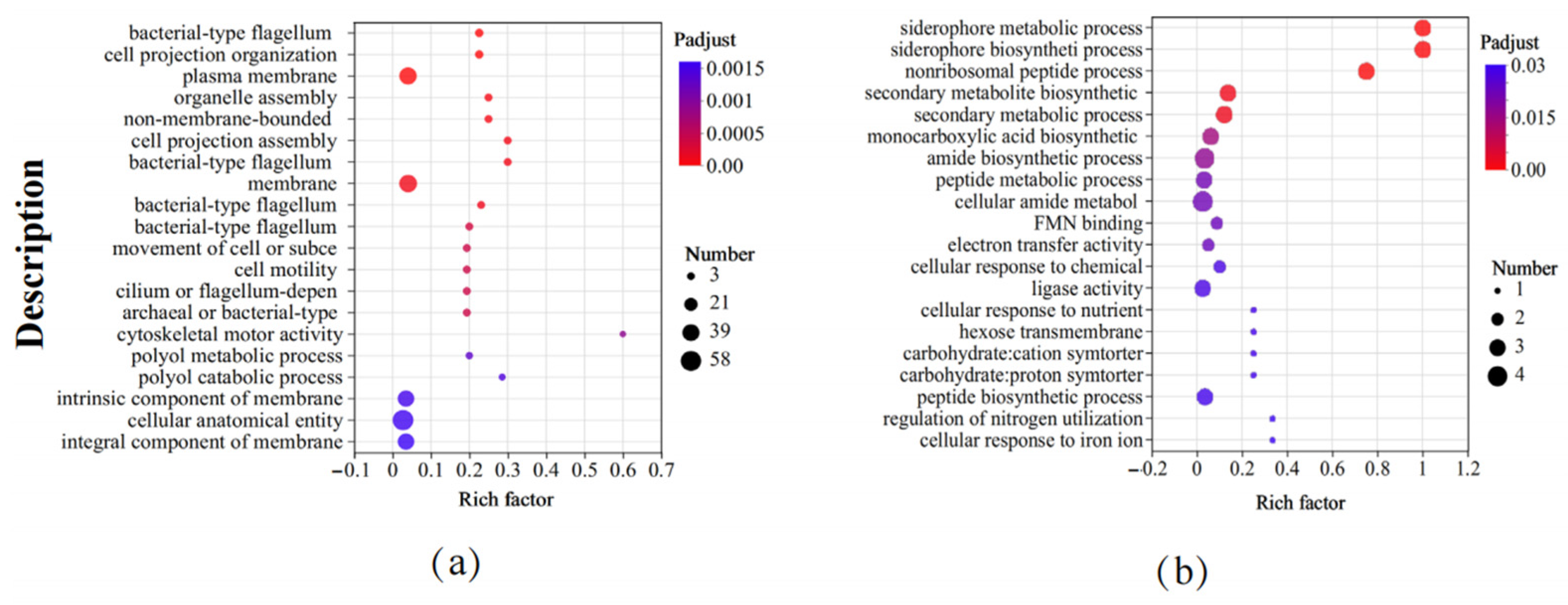 Microorganisms 12 00285 g005