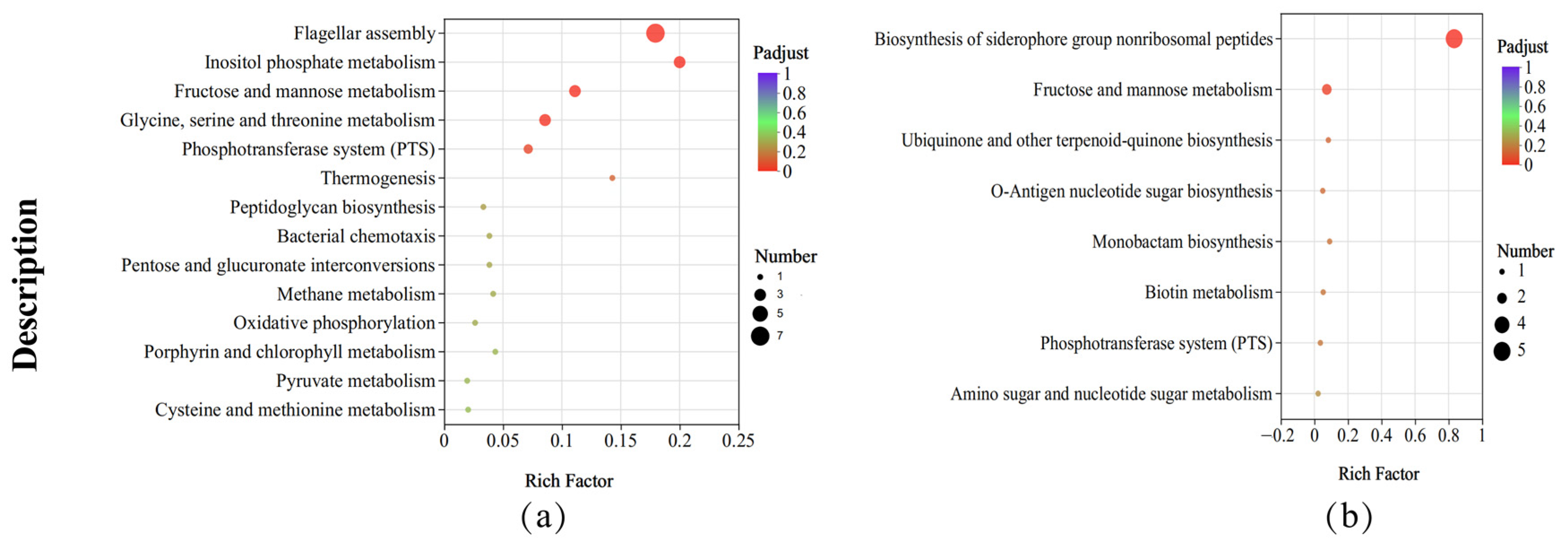 Microorganisms 12 00285 g006