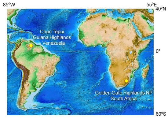 Microorganisms 12 00290 g001