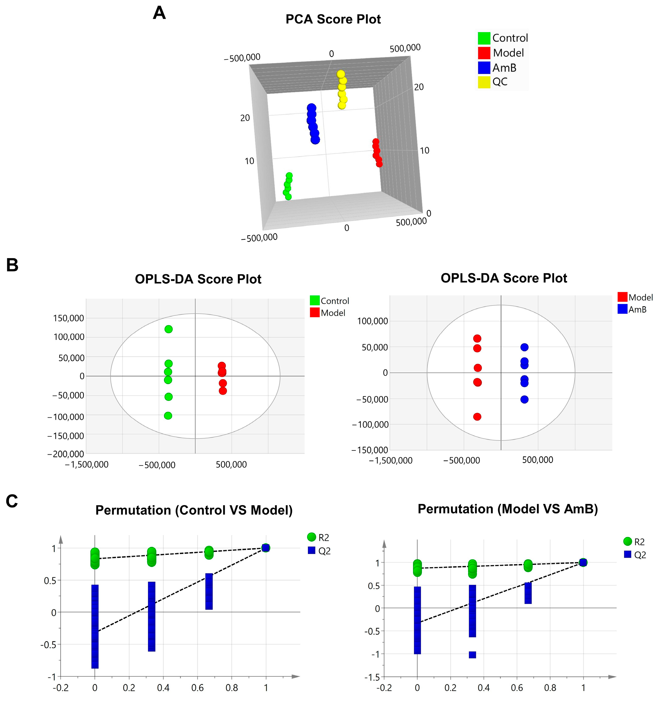 Microorganisms 12 00292 g001