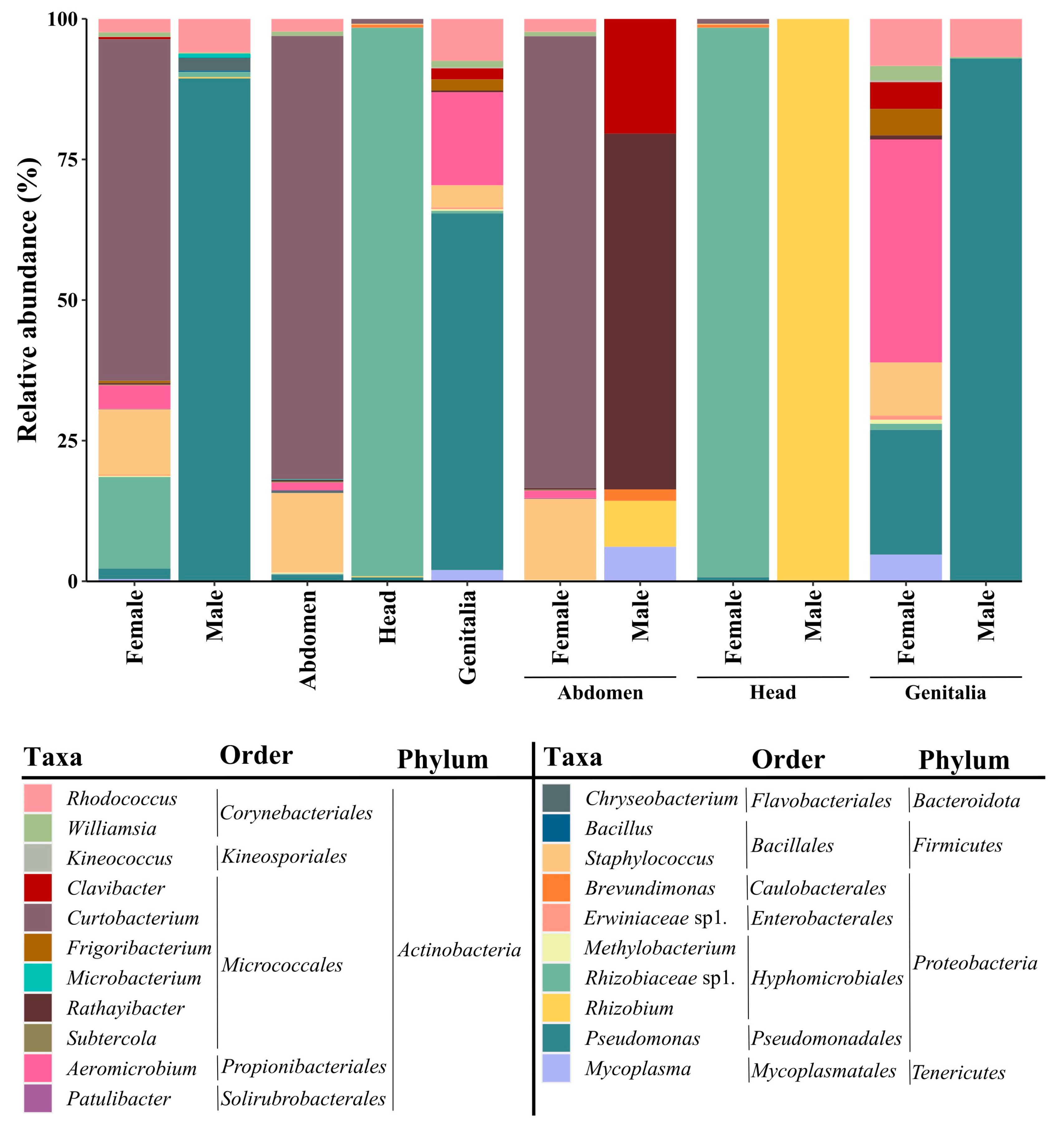 Microorganisms 12 00298 g001