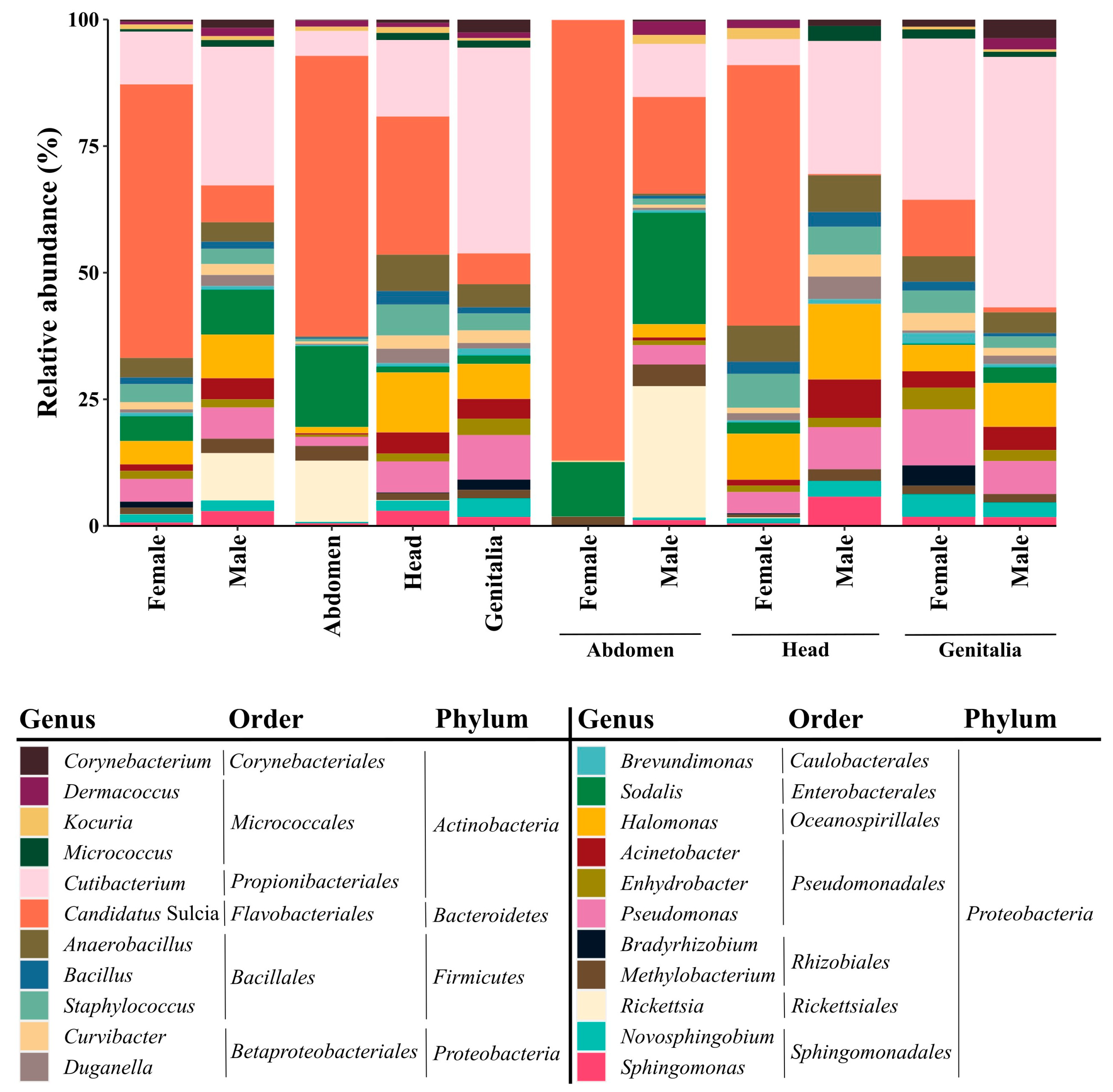 Microorganisms 12 00298 g003