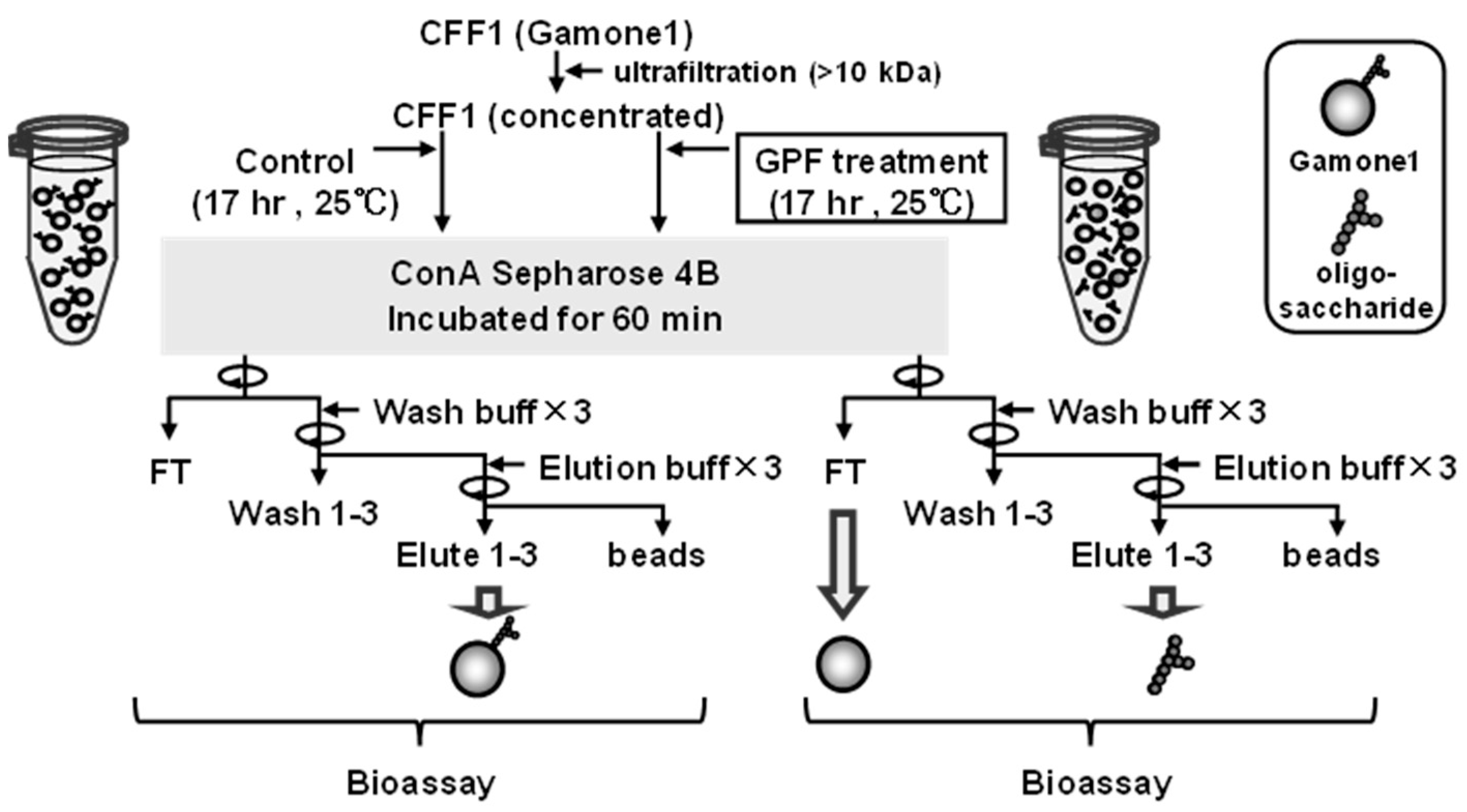 Microorganisms 12 00299 g001 Microorganisms 12 00299 g001