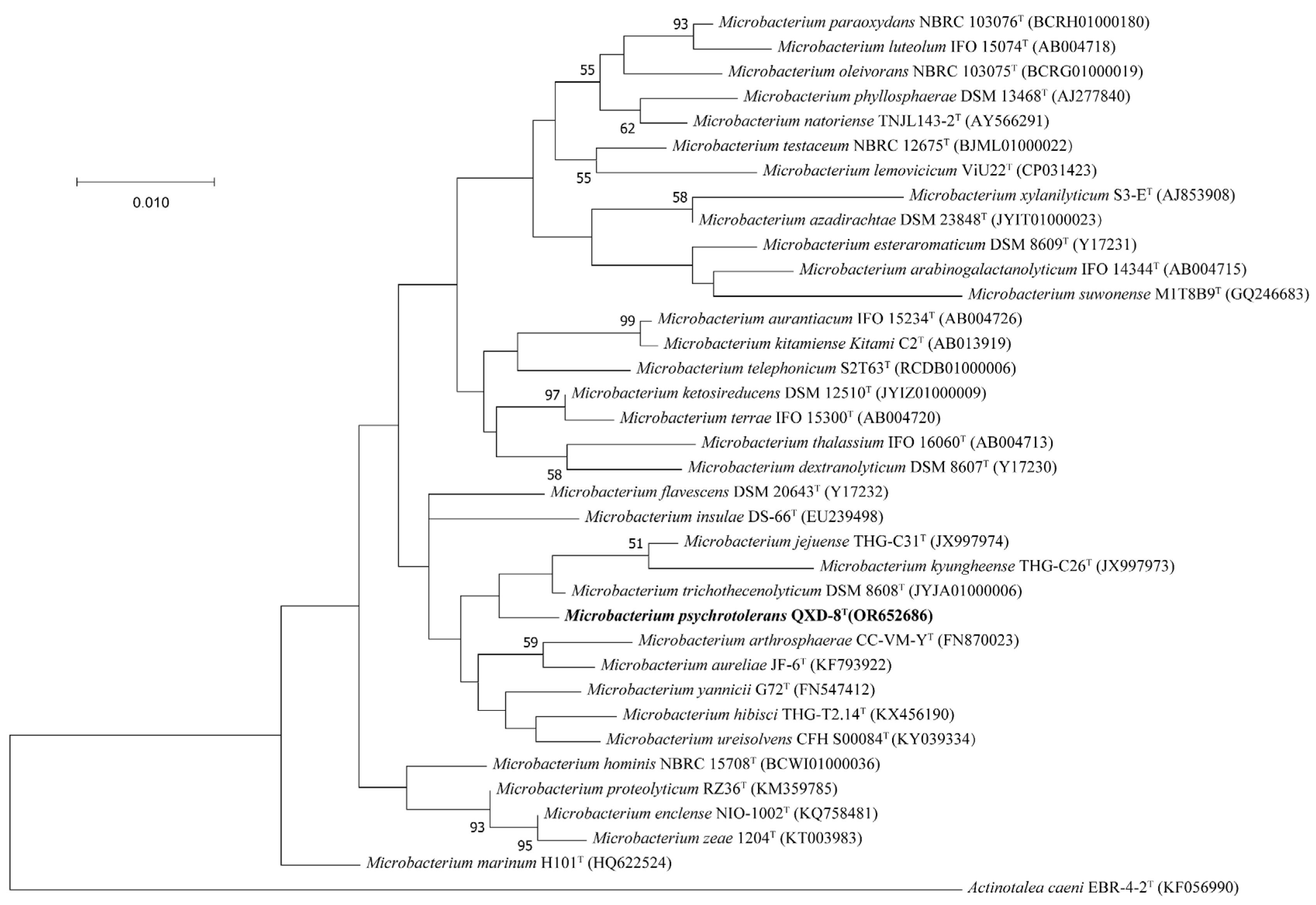 Microorganisms 12 00303 g002 Microorganisms 12 00303 g002