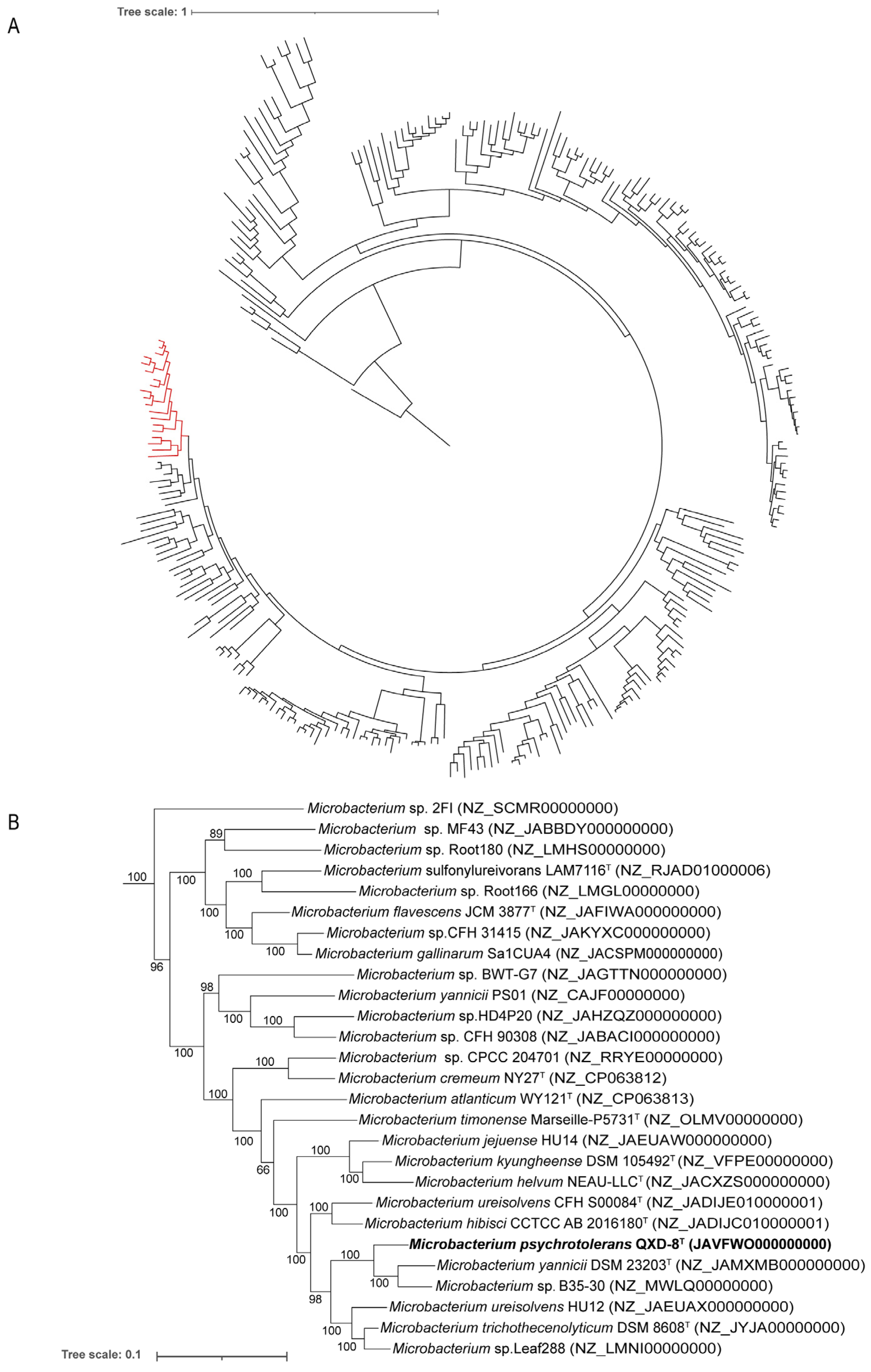 Microorganisms 12 00303 g003 Microorganisms 12 00303 g003