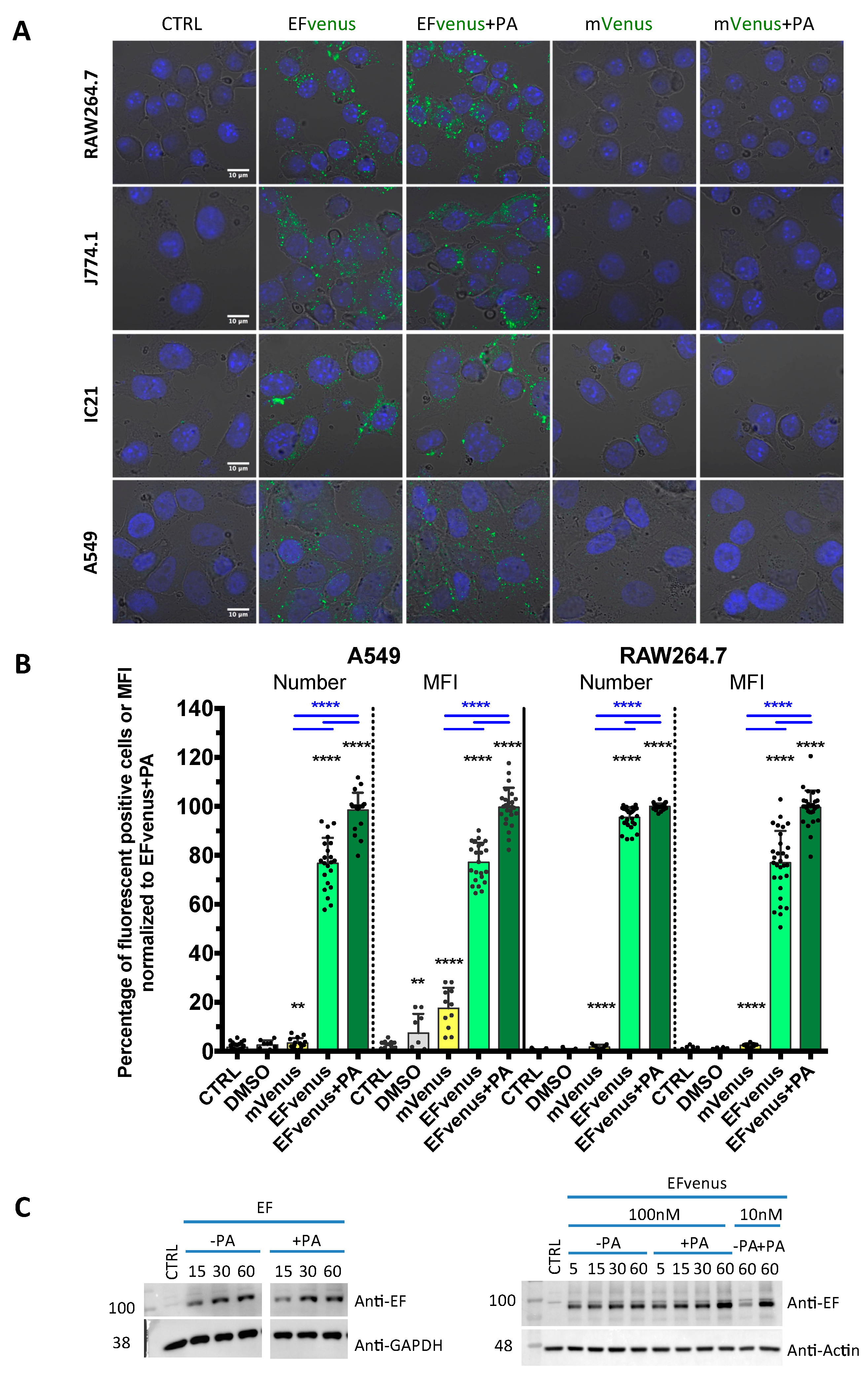 Microorganisms 12 00308 g001