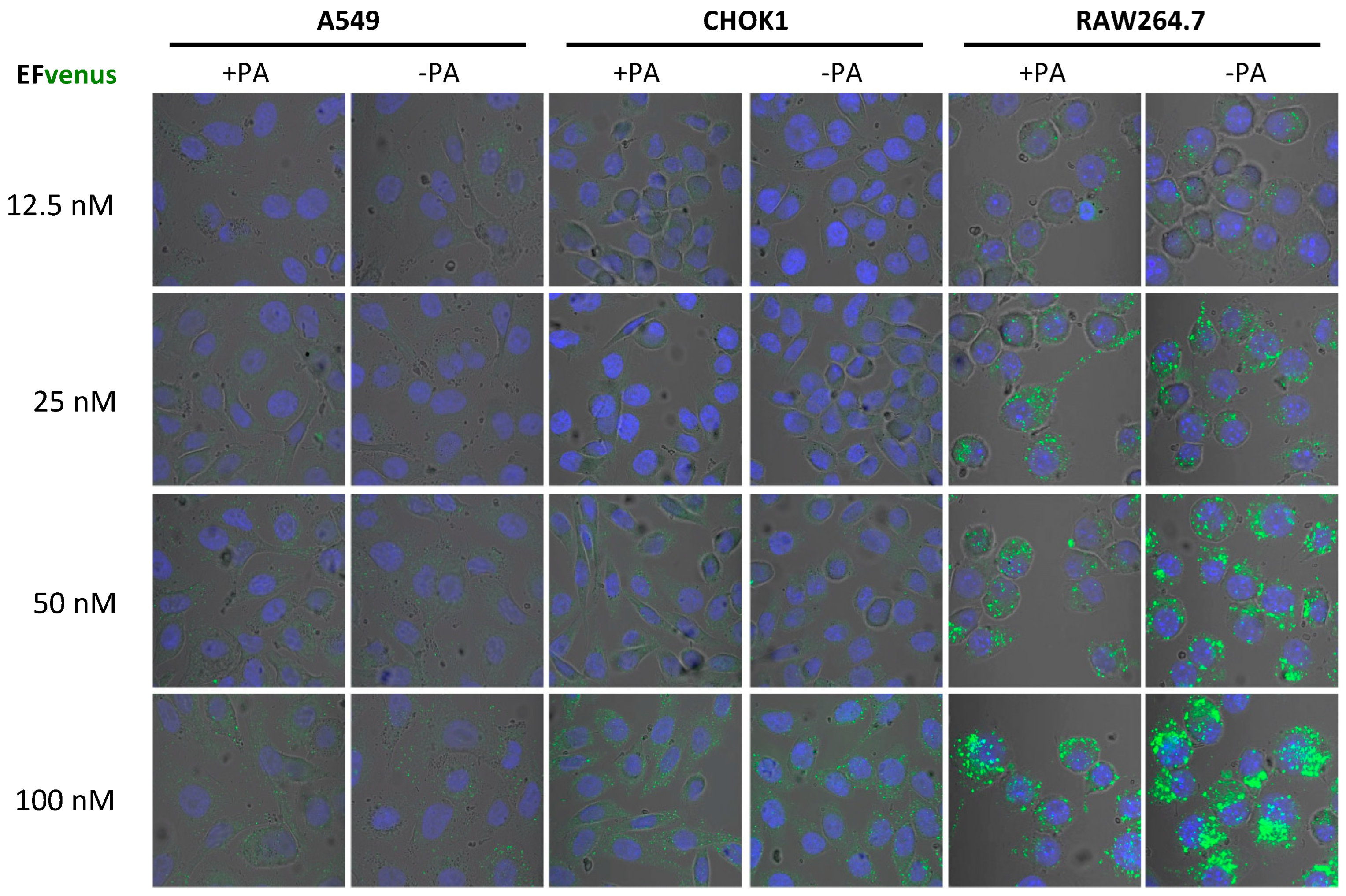 Microorganisms 12 00308 g002
